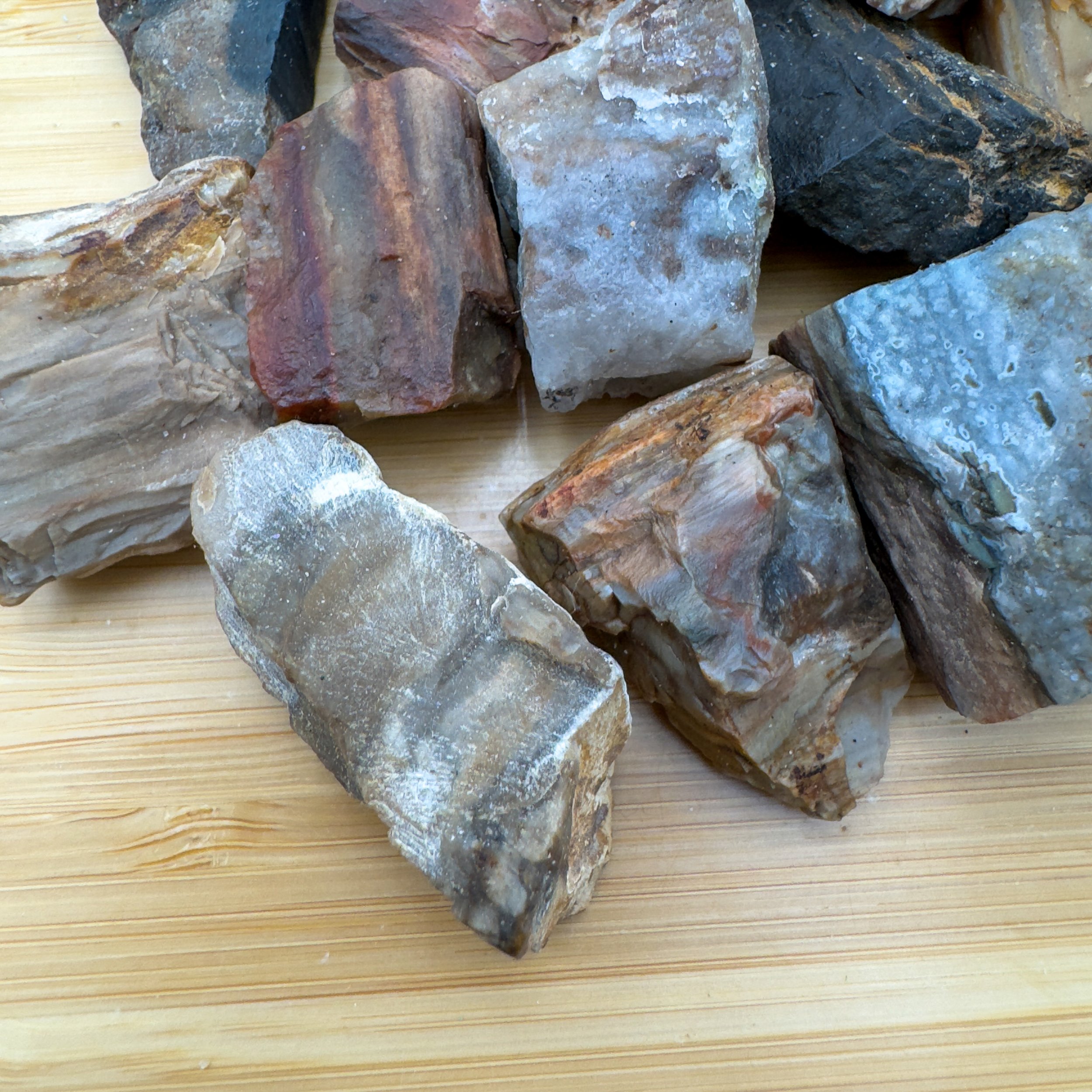 Petrified Wood Raw Stones (1-2 Inch - A Grade - 12-20 Pieces Per Pound) Ethically Sourced from Madagascar - Beyond Bohemian