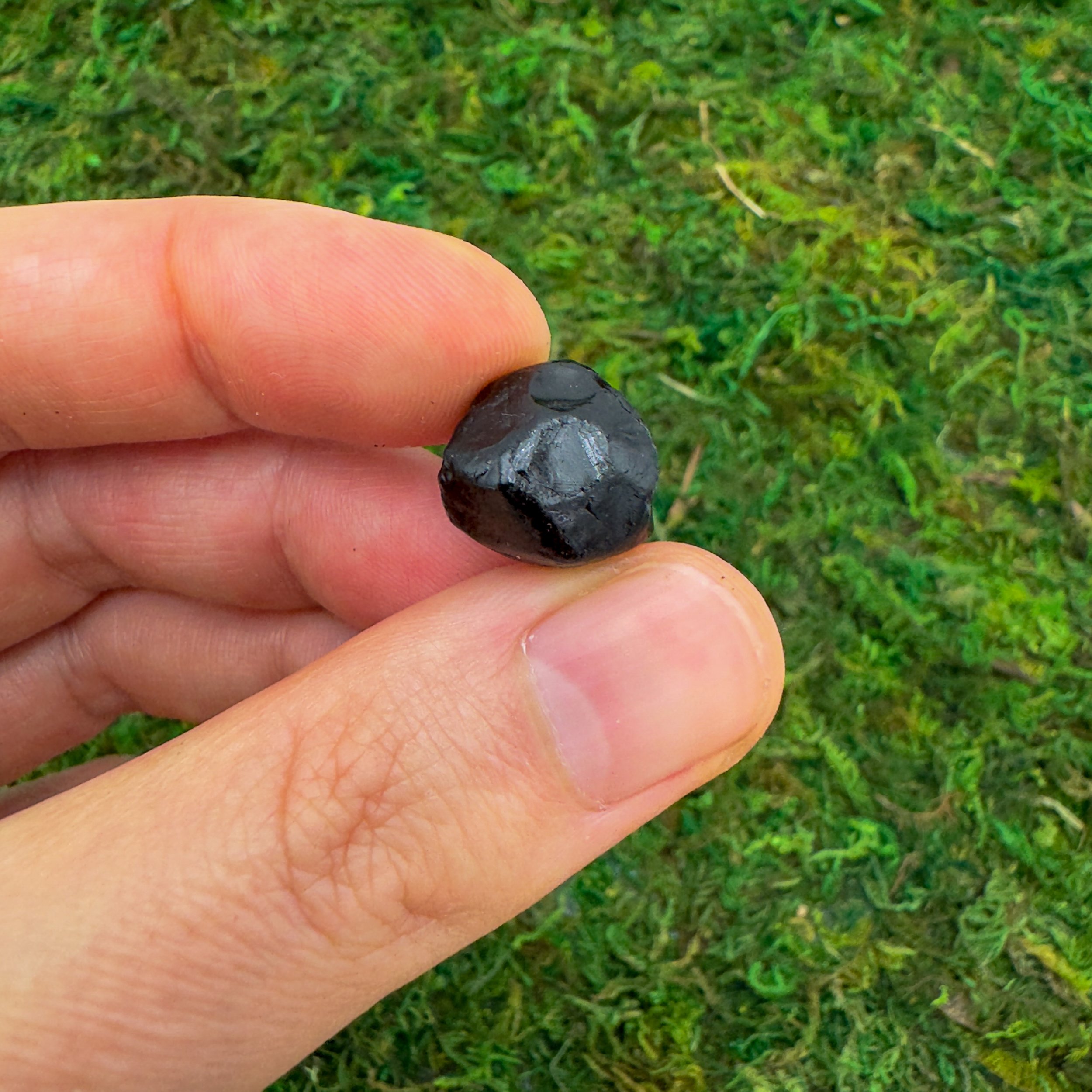 Apache Tear Raw Stones (0.50-1.50 Inch - AA Grade - 48-80 Pieces Per Pound) Ethically Sourced from Arizona - Beyond Bohemian
