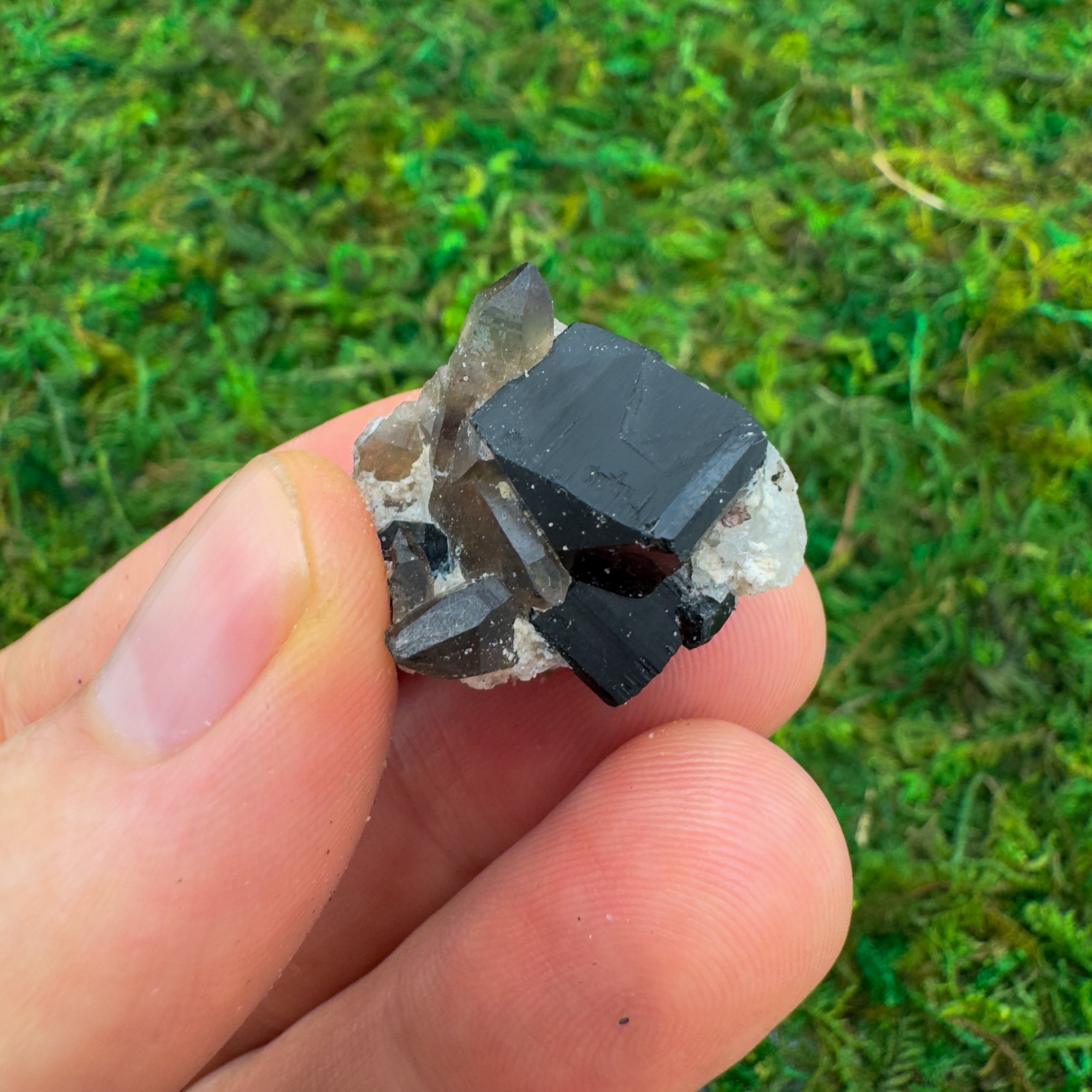 Black Tourmaline Raw Crystals (0.50-1.25 Inch - AA Grade - 24-40 Pieces Per Pound) Ethically Sourced from Namibia - Beyond Bohemian