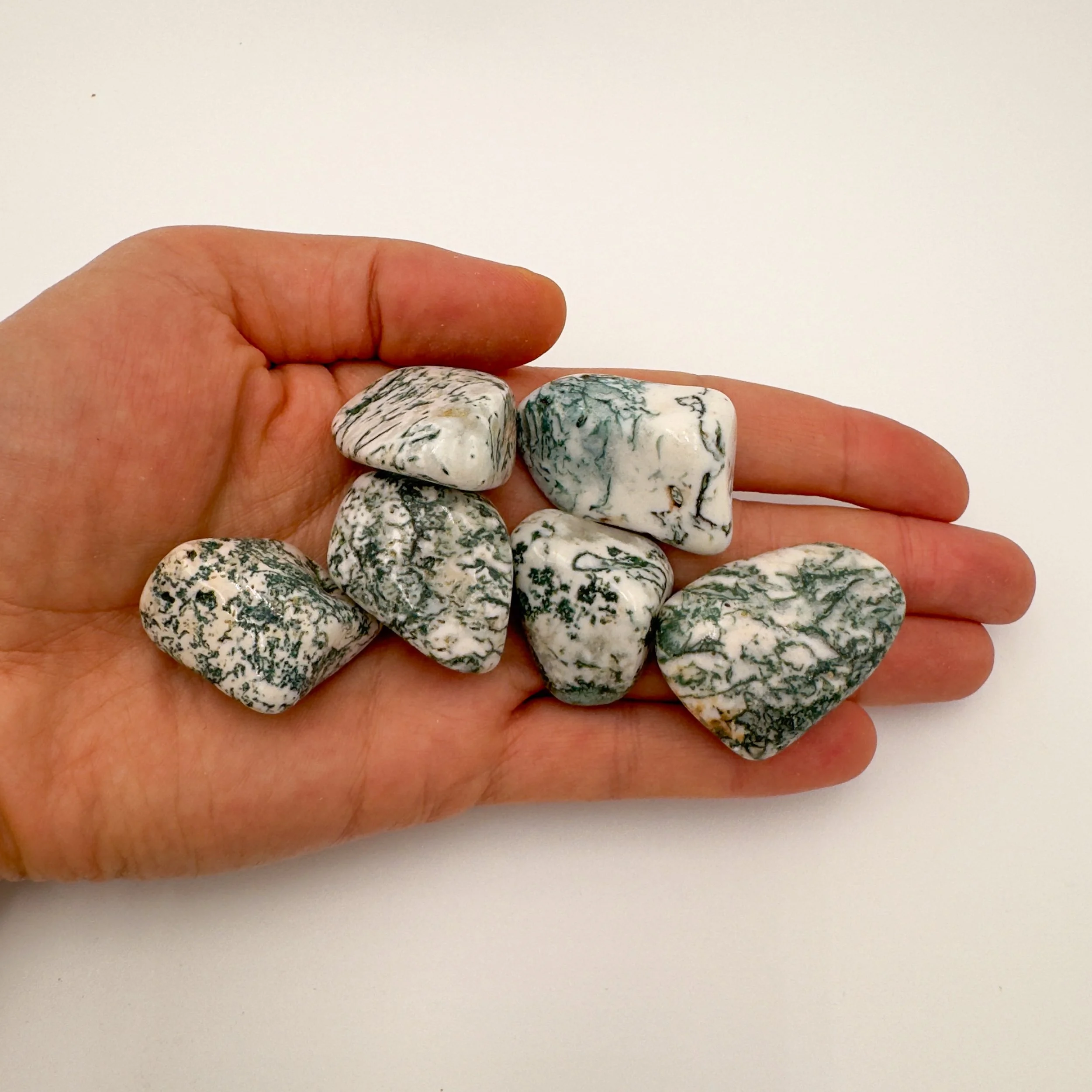 Tree Agate Tumbled Stones (1-1.50 Inch - A Grade - 16-24 Pieces Per Pound) Ethically Sourced from Botswana - Beyond Bohemian