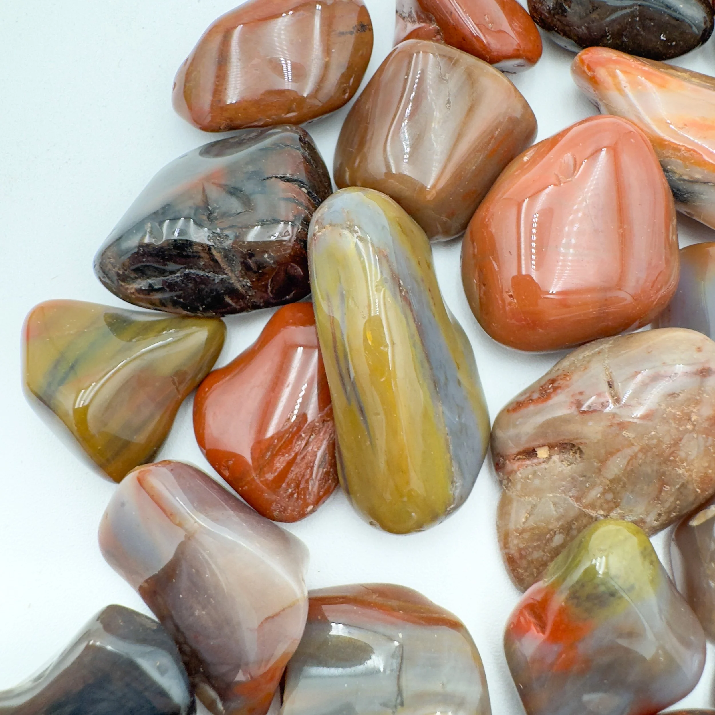 Wholesale Petrified Wood Tumbled Stones 7925.jpg