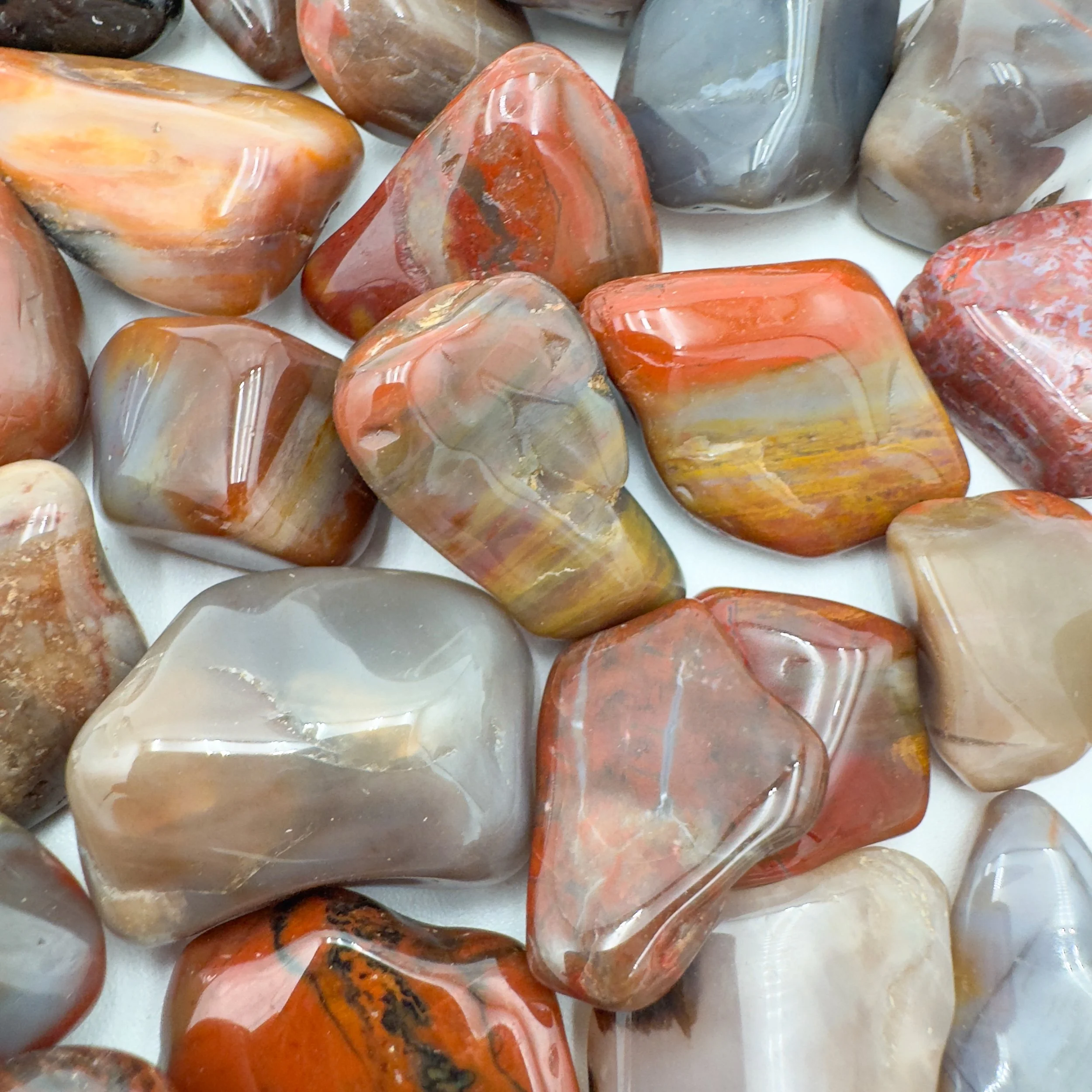 Wholesale Petrified Wood Tumbled Stones 7926.jpg