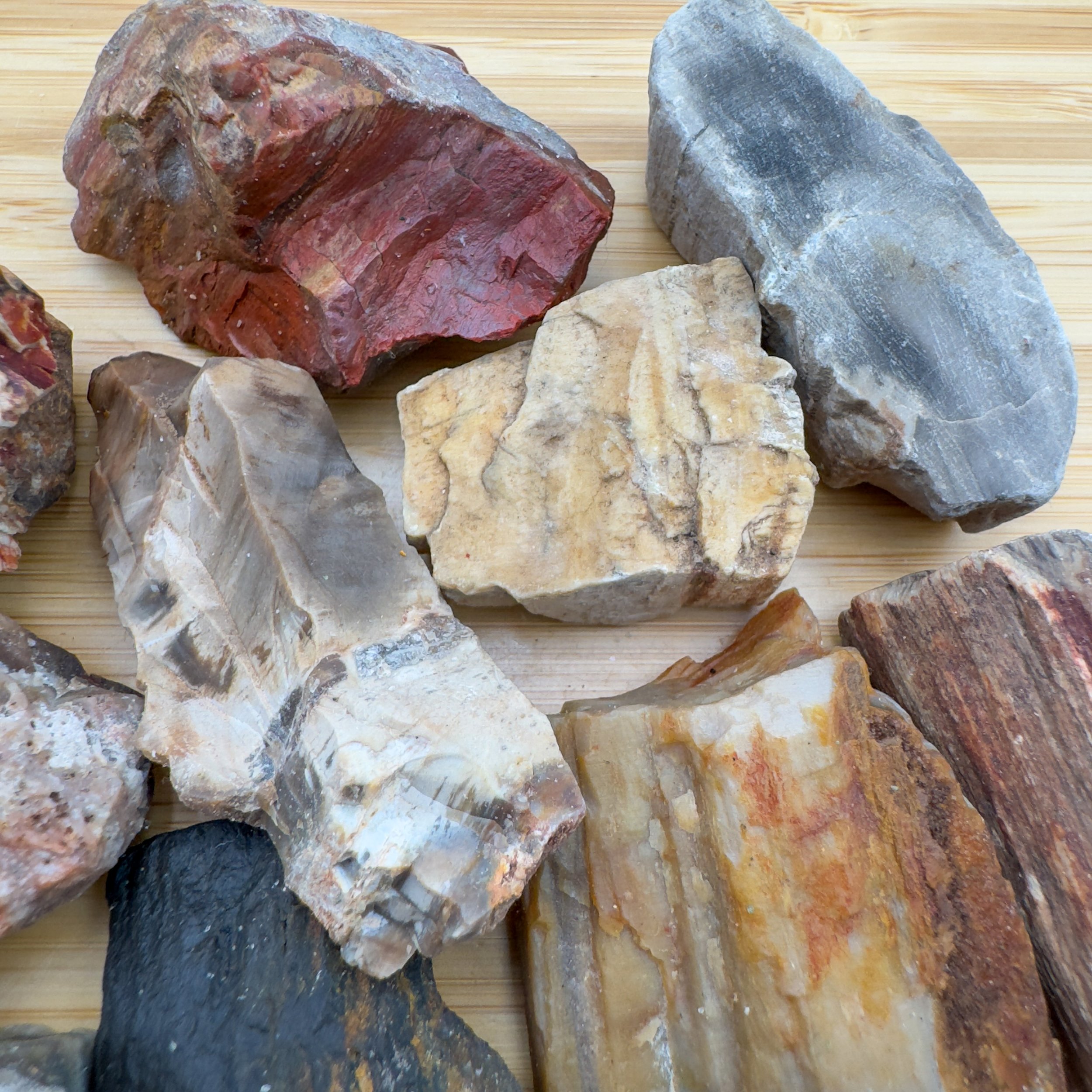 Petrified Wood Raw Stones (1-2 Inch - A Grade - 12-20 Pieces Per Pound) Ethically Sourced from Madagascar - Beyond Bohemian