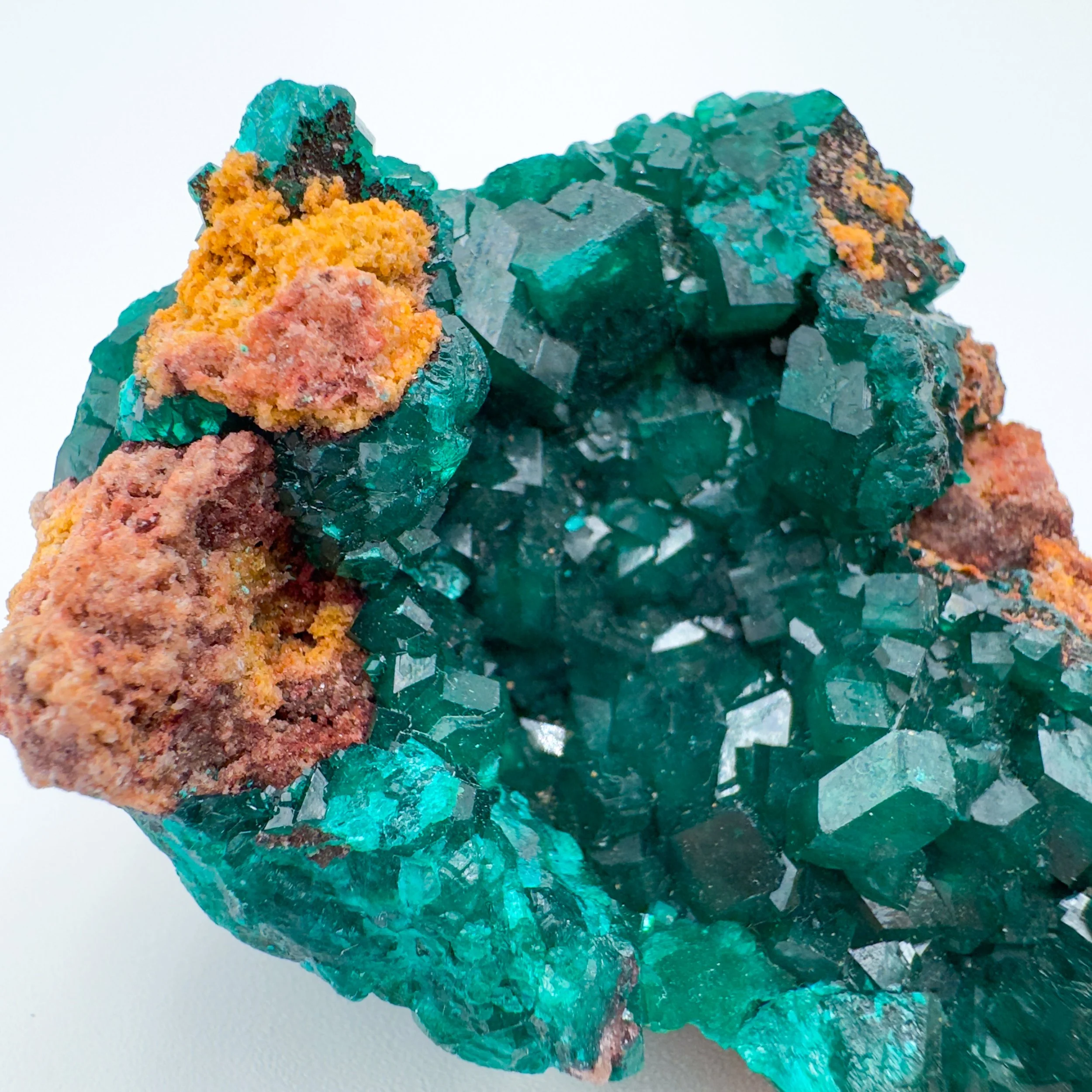 Dioptase Raw Crystal Specimen _8459.jpg