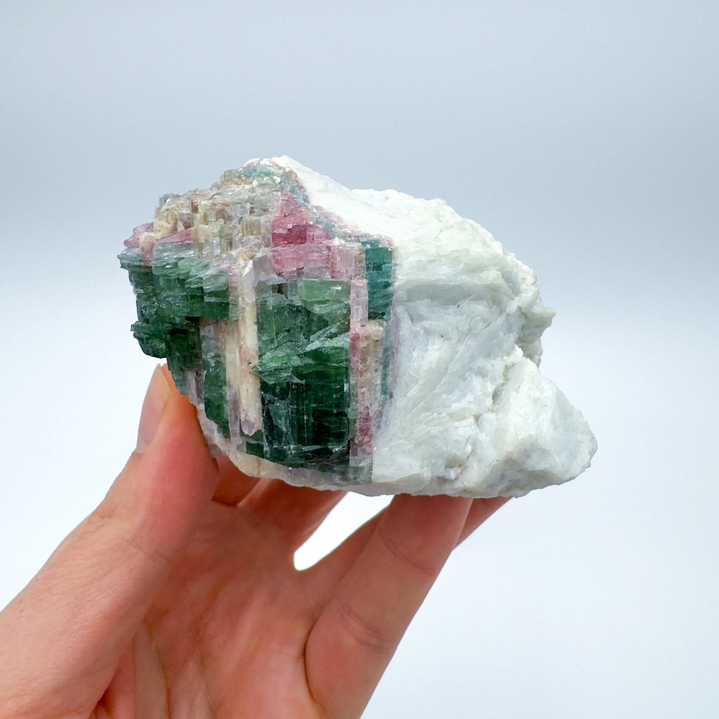 Watermelon Tourmaline Raw Crystal Specimen _8443.jpg