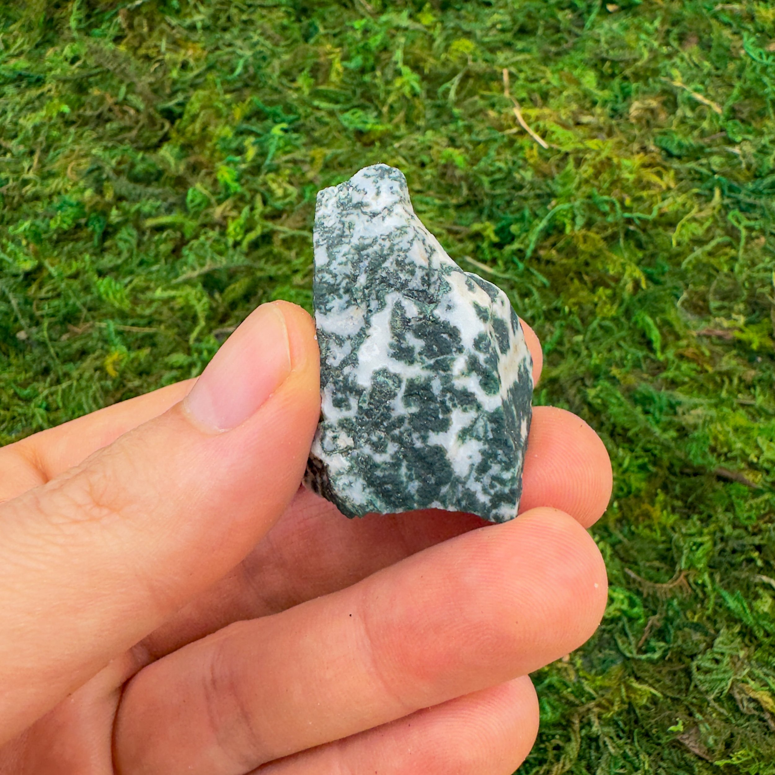 Tree Agate Raw Stones (1-2 Inch - A Grade - 12-20 Pieces Per Pound) Ethically Sourced from Botswana - Beyond Bohemian