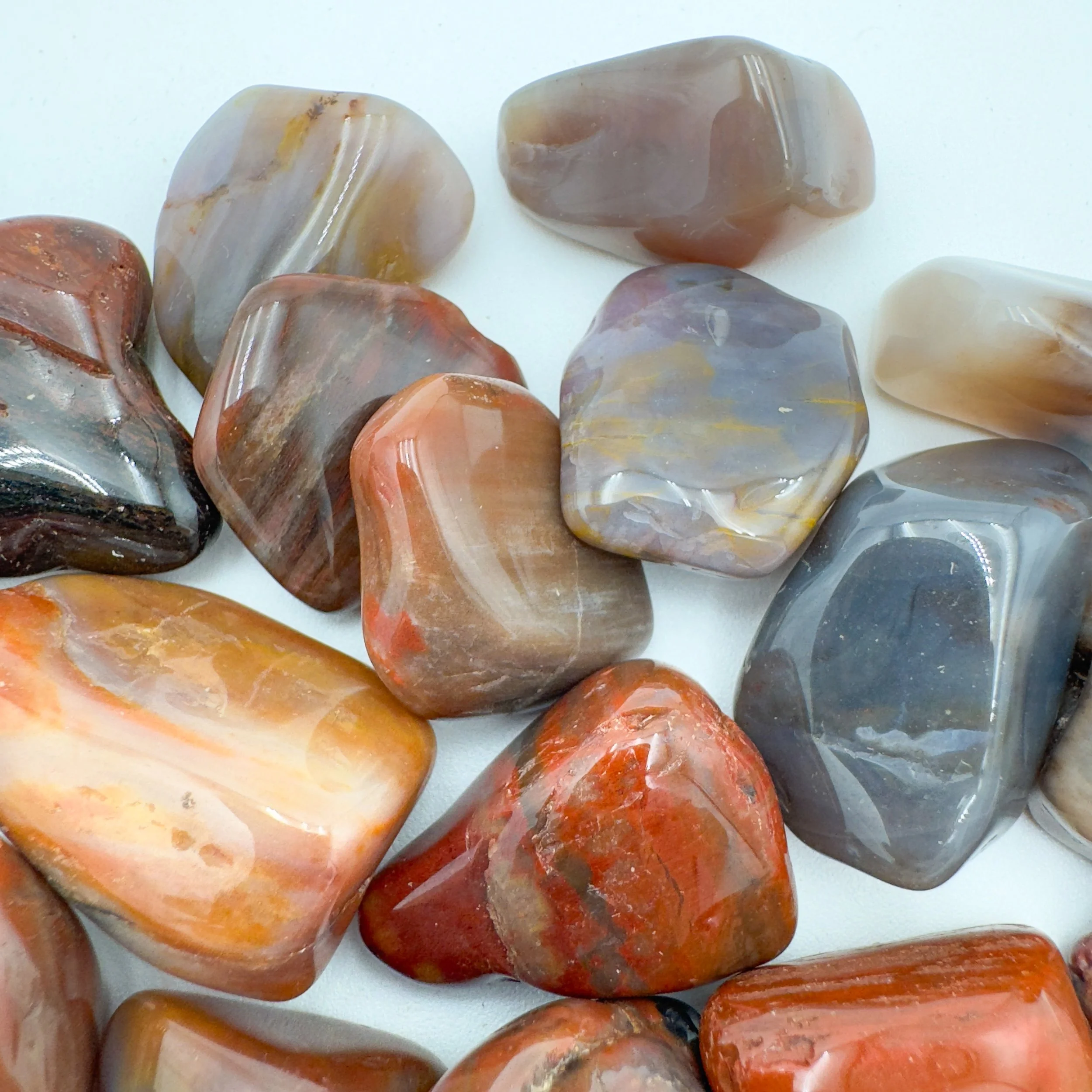 Wholesale Petrified Wood Tumbled Stones 7927.jpg
