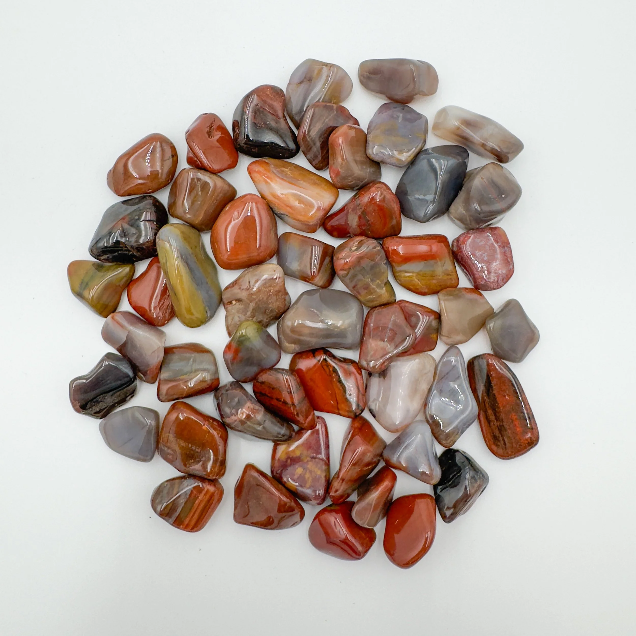 Wholesale Petrified Wood Tumbled Stones 7922.jpg