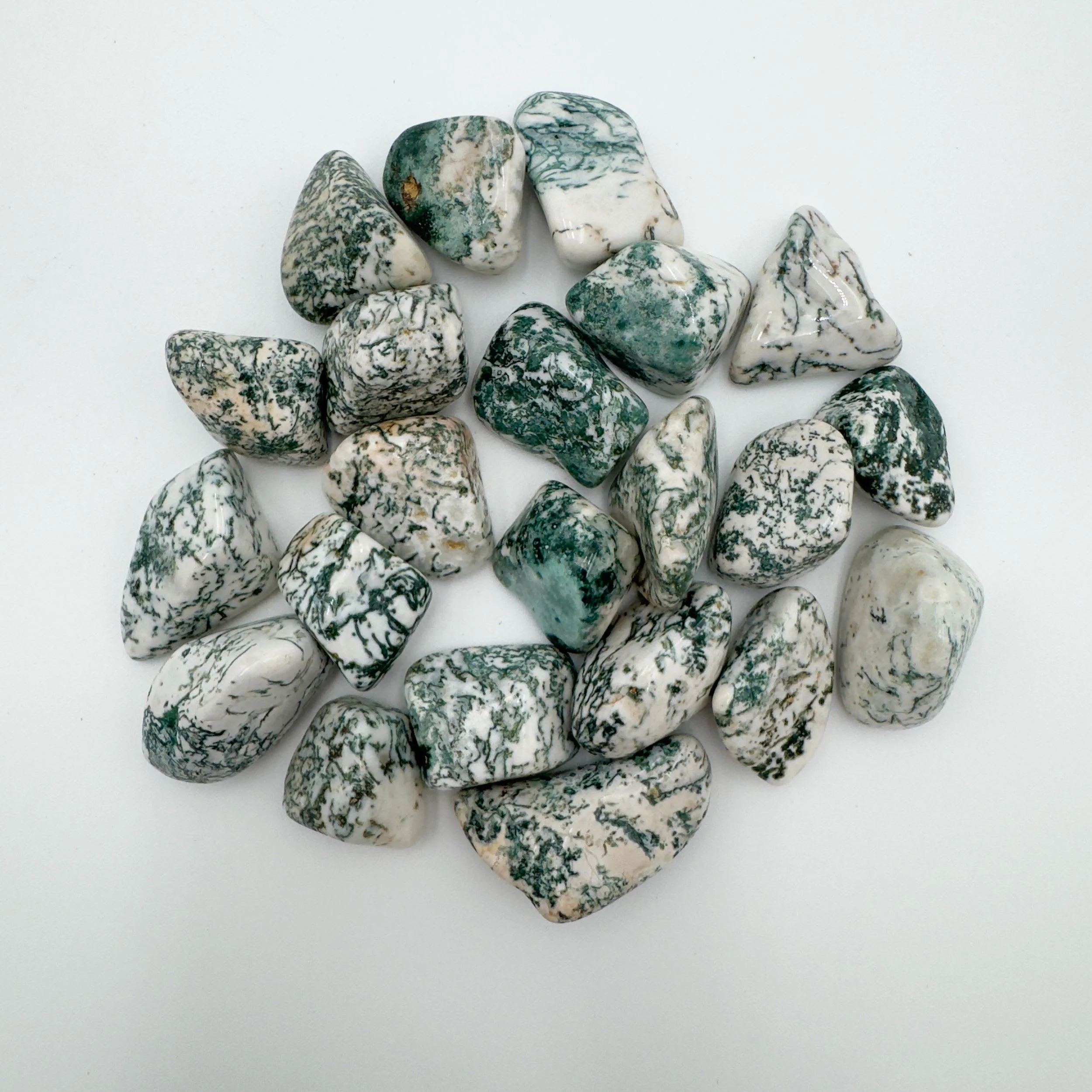 Tree Agate Tumbled Stones (1-1.50 Inch - A Grade - 16-24 Pieces Per Pound) Ethically Sourced from Botswana