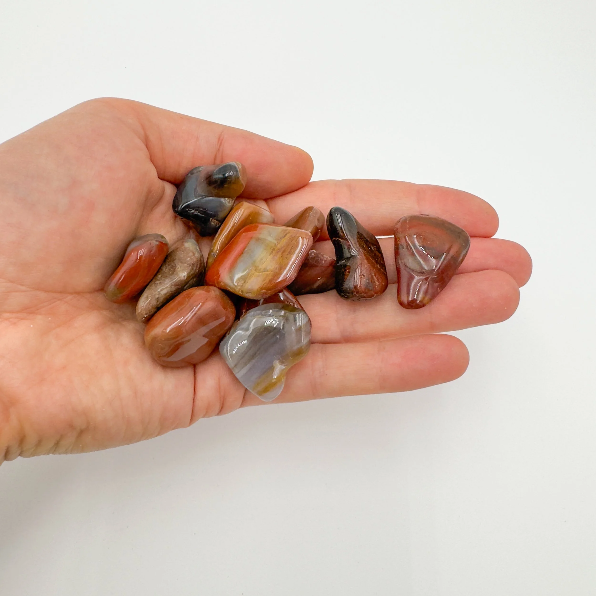 Wholesale Petrified Wood Tumbled Stones 7928.jpg