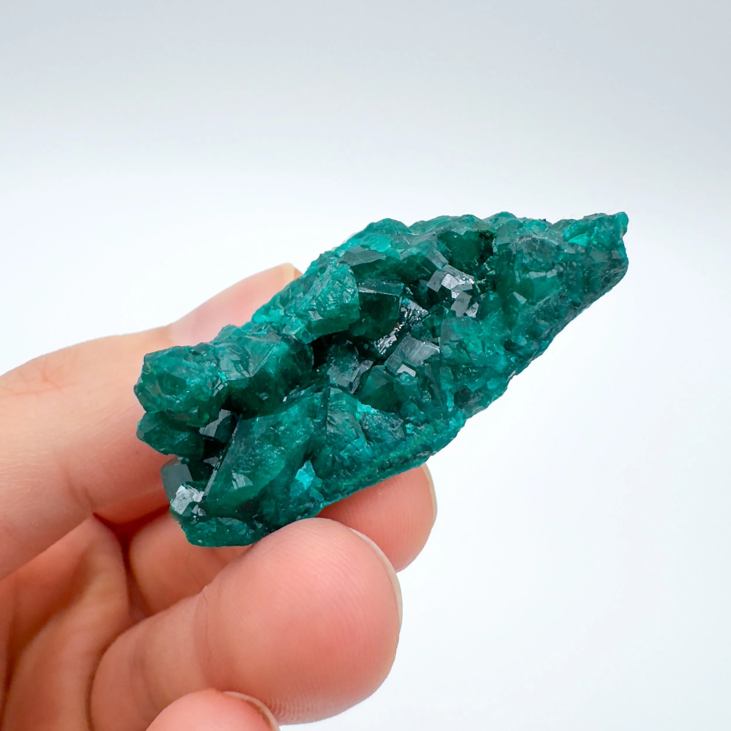 Dioptase Raw Crystal Specimen 9004.jpg