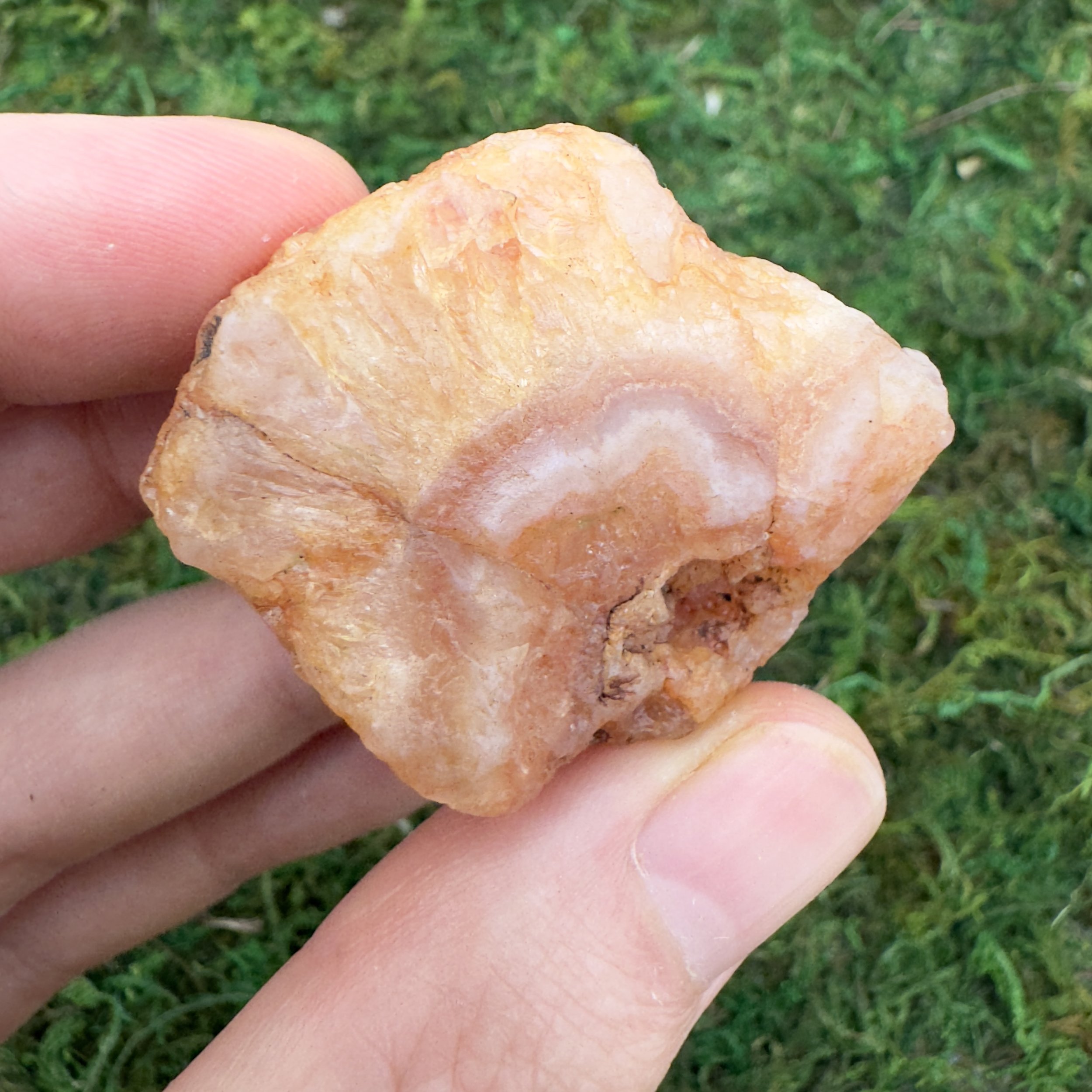 Raw and Tumbled Crystals Bulk2981.jpg