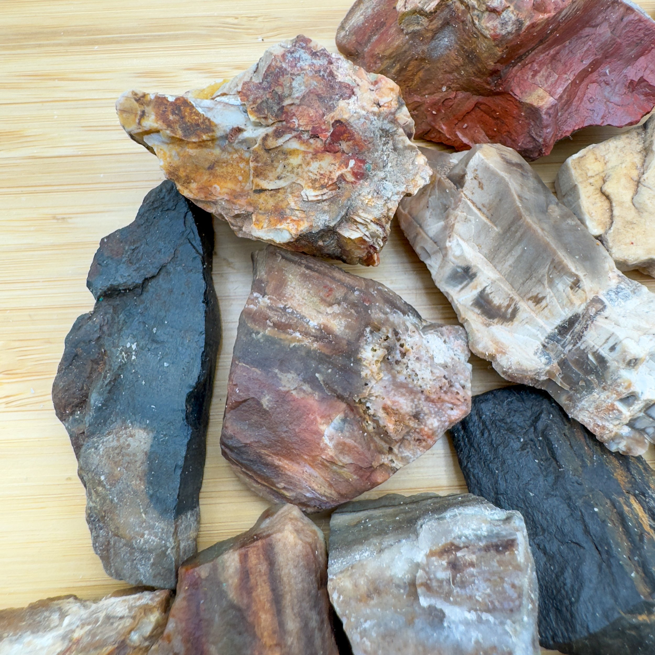 Petrified Wood Raw Stones (1-2 Inch - A Grade - 12-20 Pieces Per Pound) Ethically Sourced from Madagascar - Beyond Bohemian