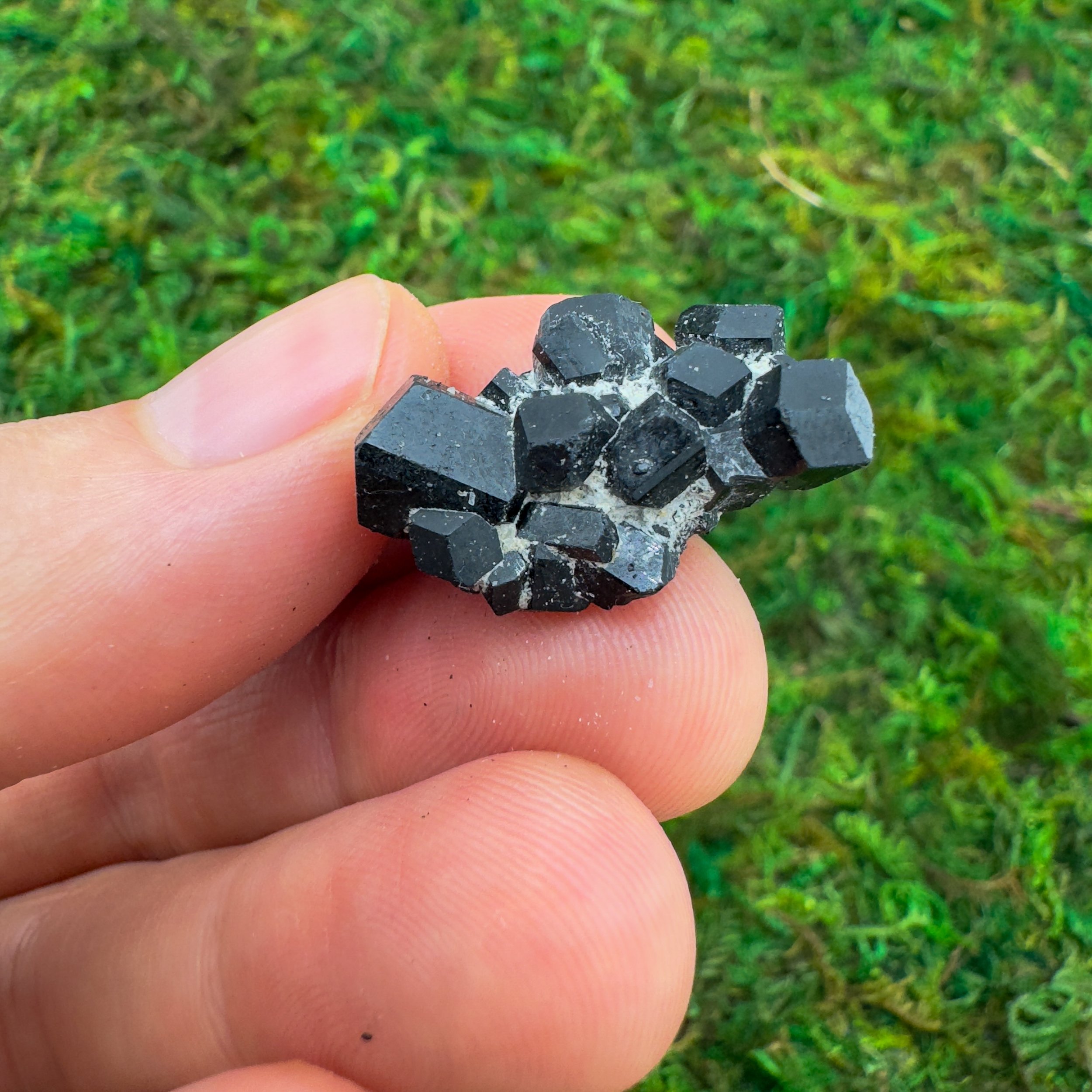 Black Tourmaline Raw Crystals (0.50-1.25 Inch - AA Grade - 24-40 Pieces Per Pound) Ethically Sourced from Namibia - Beyond Bohemian