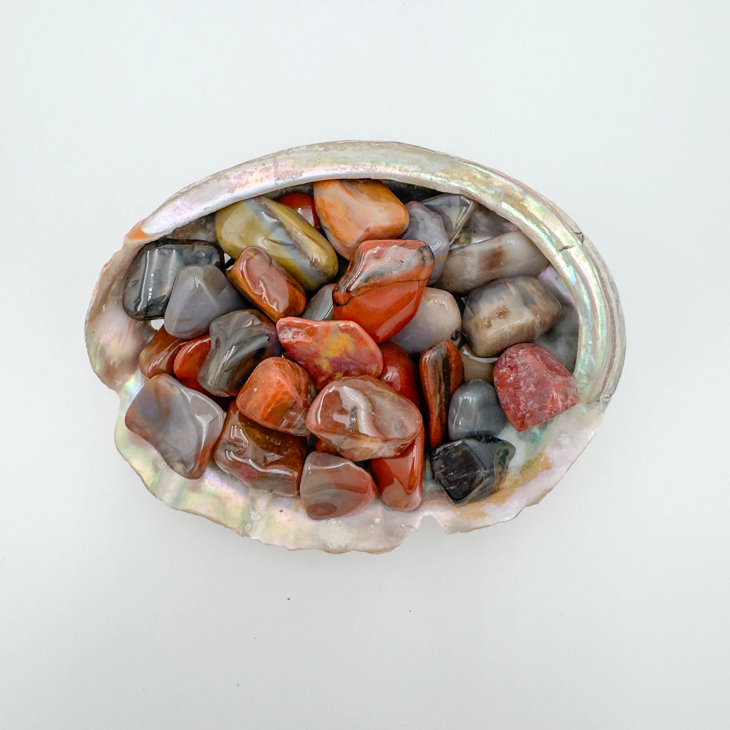Tumbled Petrified Wood stones wholesale for artisans and healers