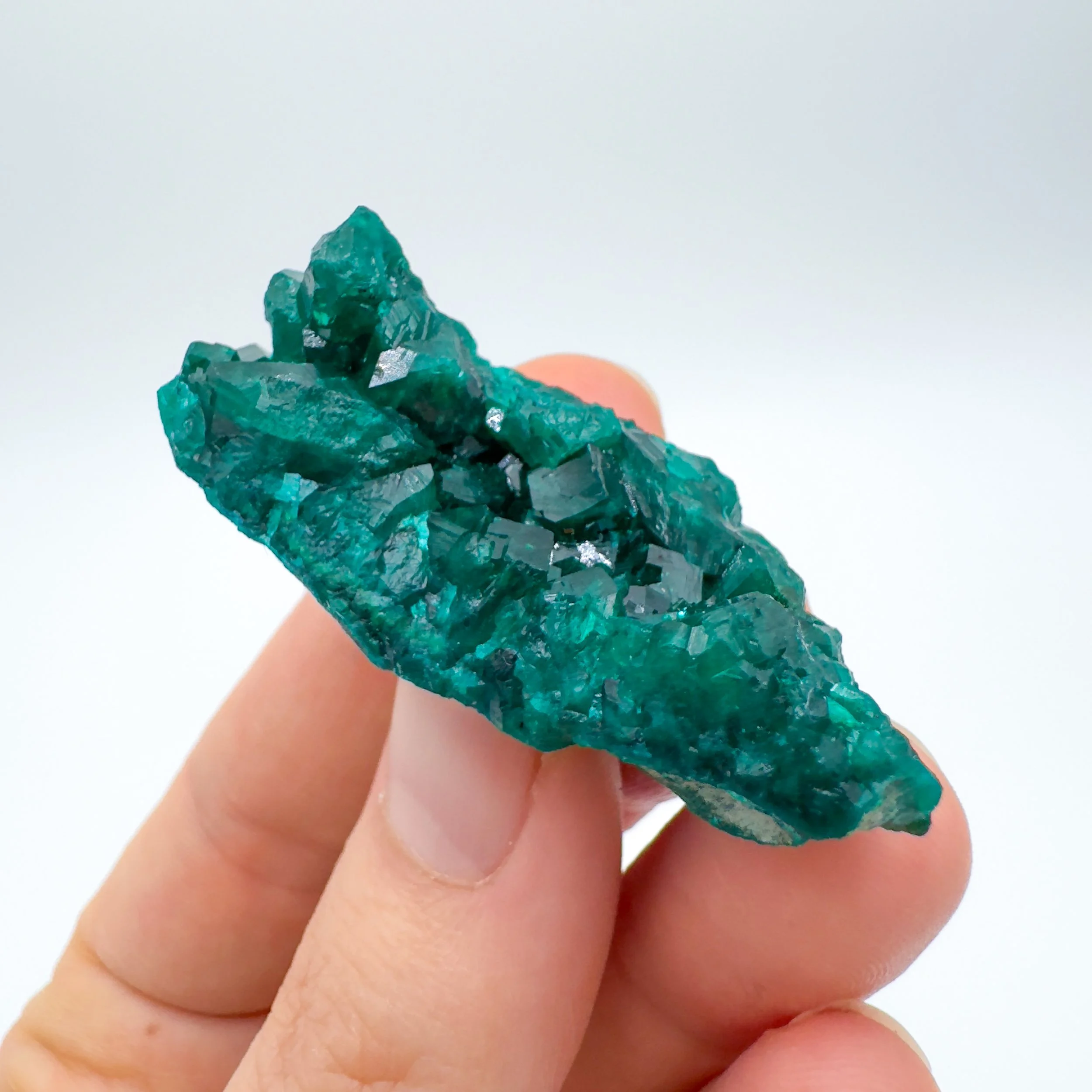 Dioptase Raw Crystal Specimen 9006.jpg