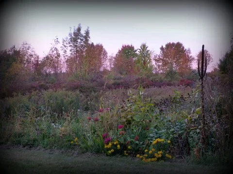 P1150090.JPG