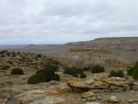 P1090840.JPG