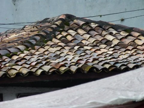 084-P1160337.JPG