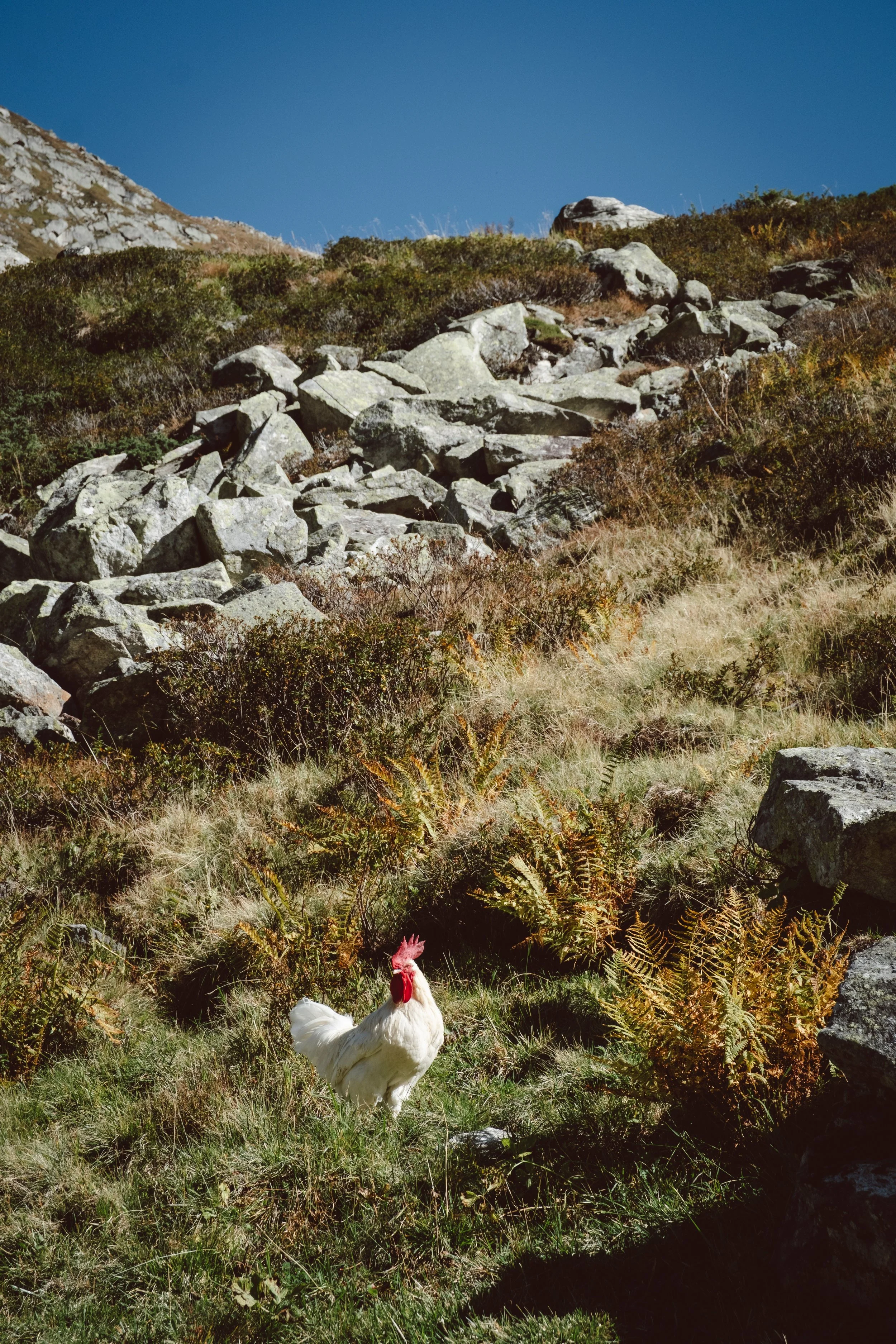 DSCF7289.jpg