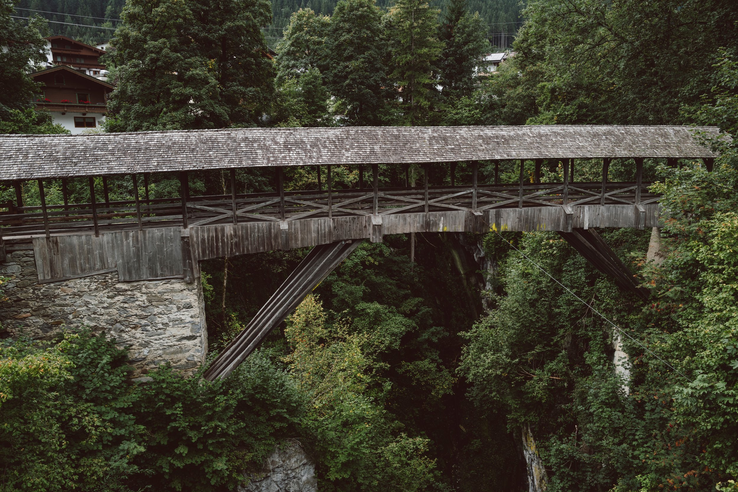 L1003520.jpg