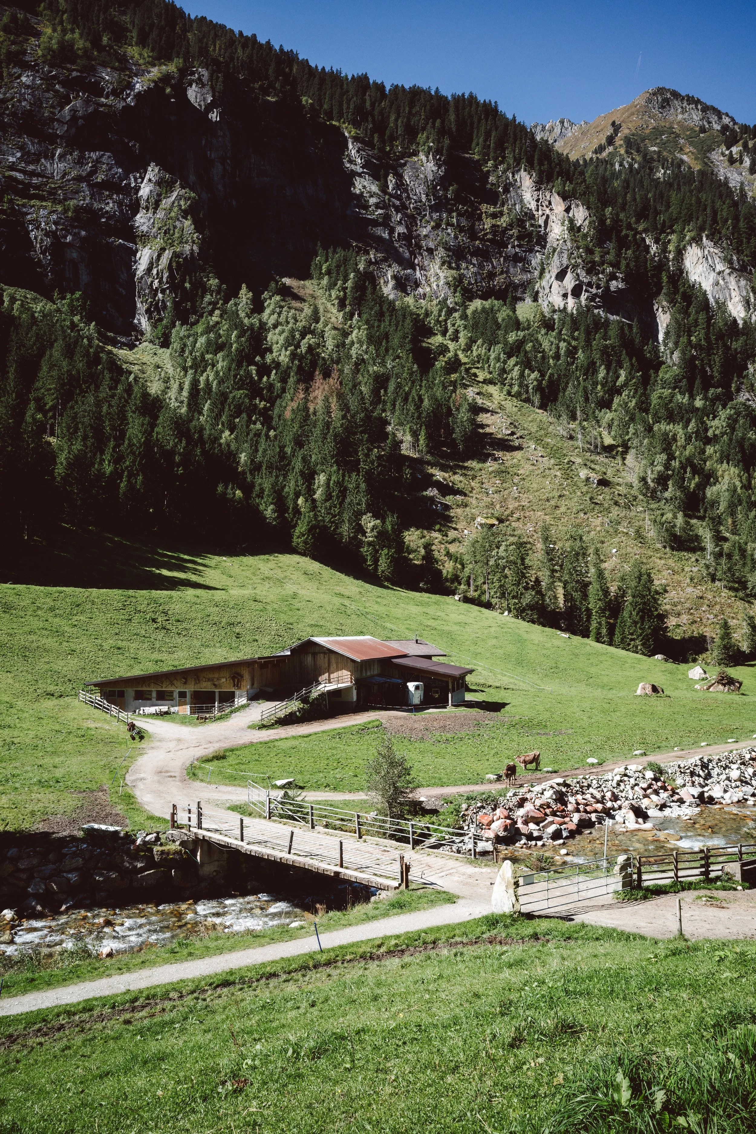 R0011064.jpg