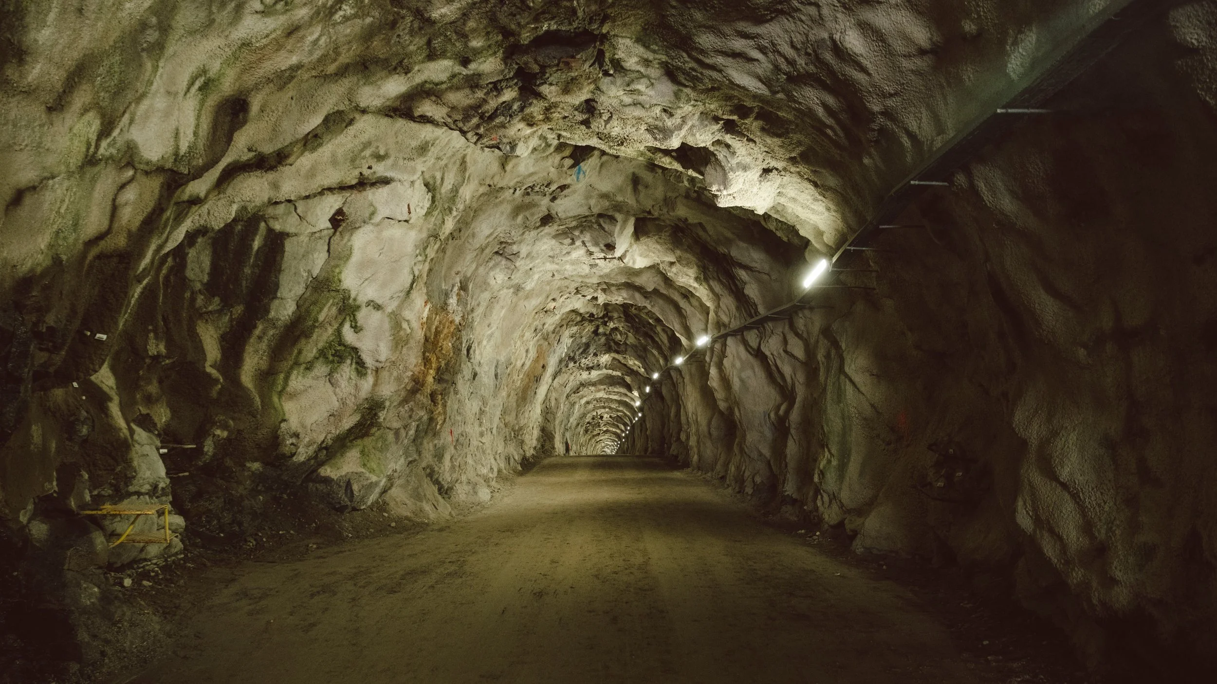 DSCF6990.jpg