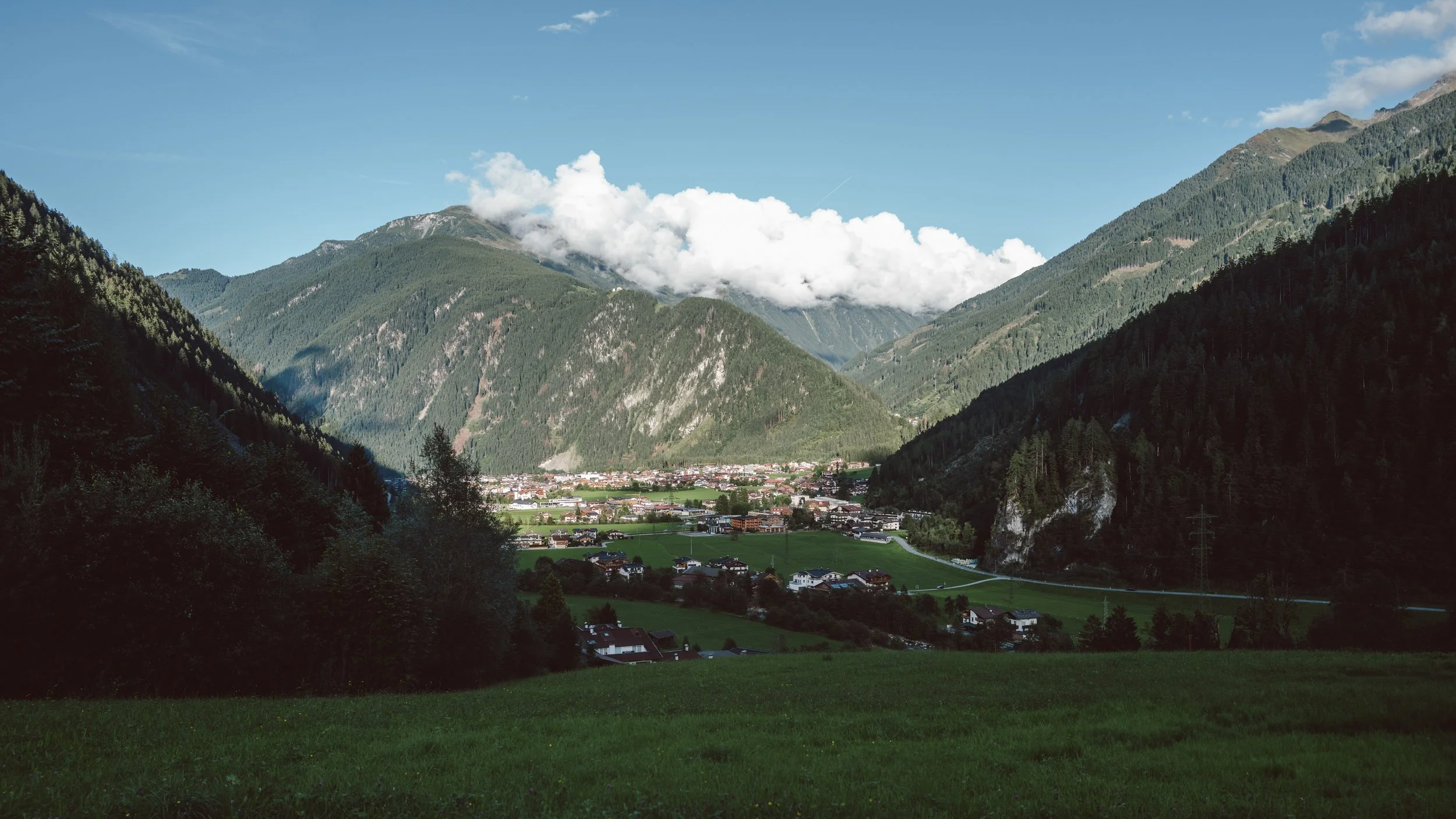 L1003304.jpg