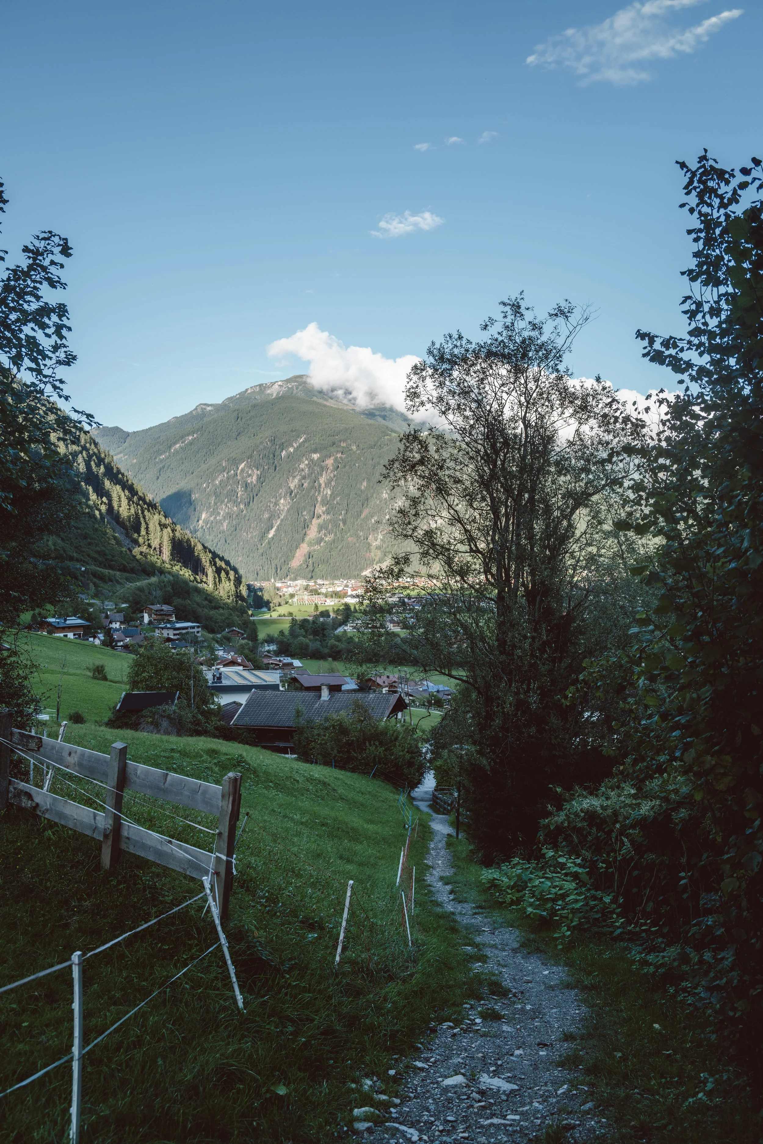 L1003300.jpg