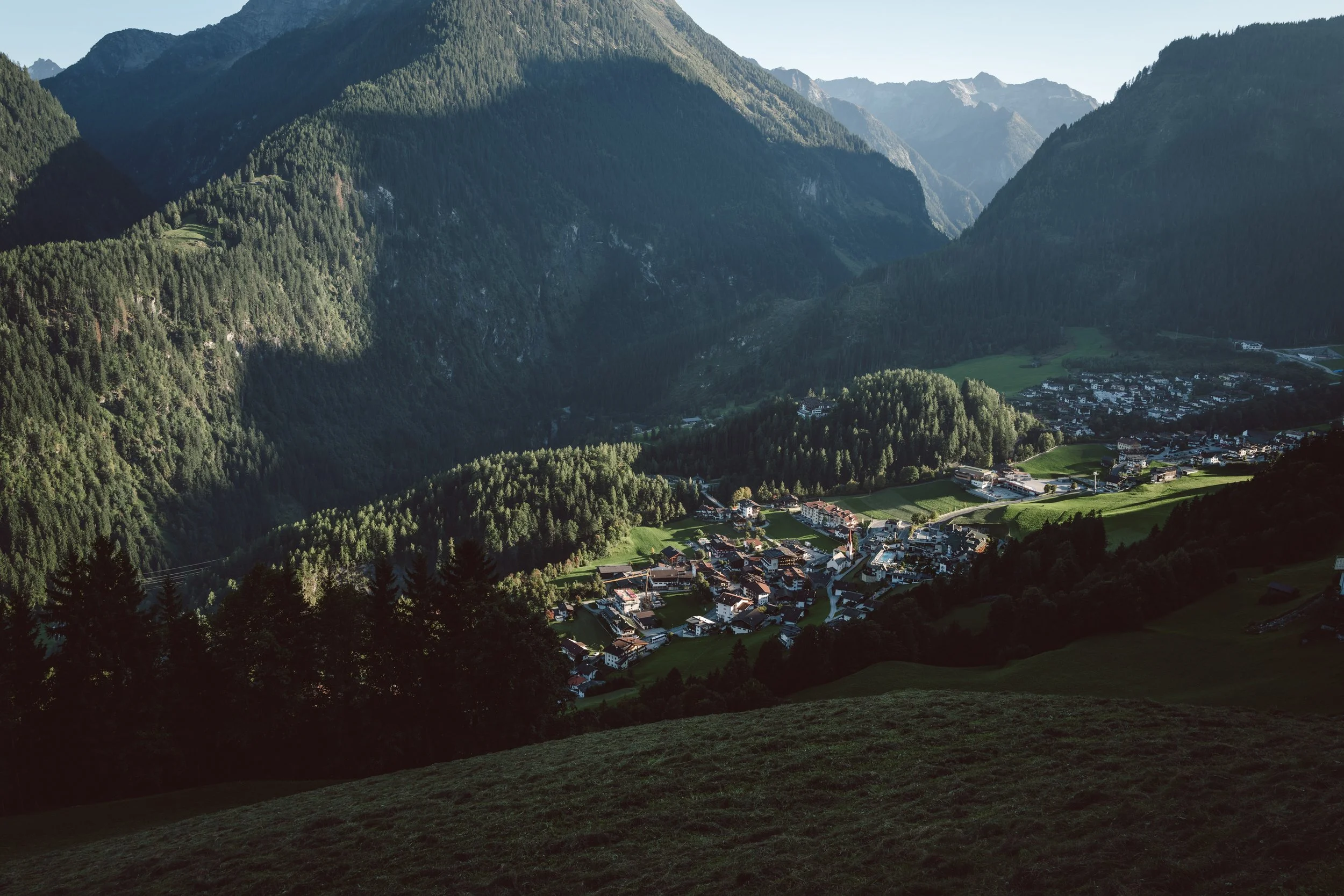 L1003647.jpg