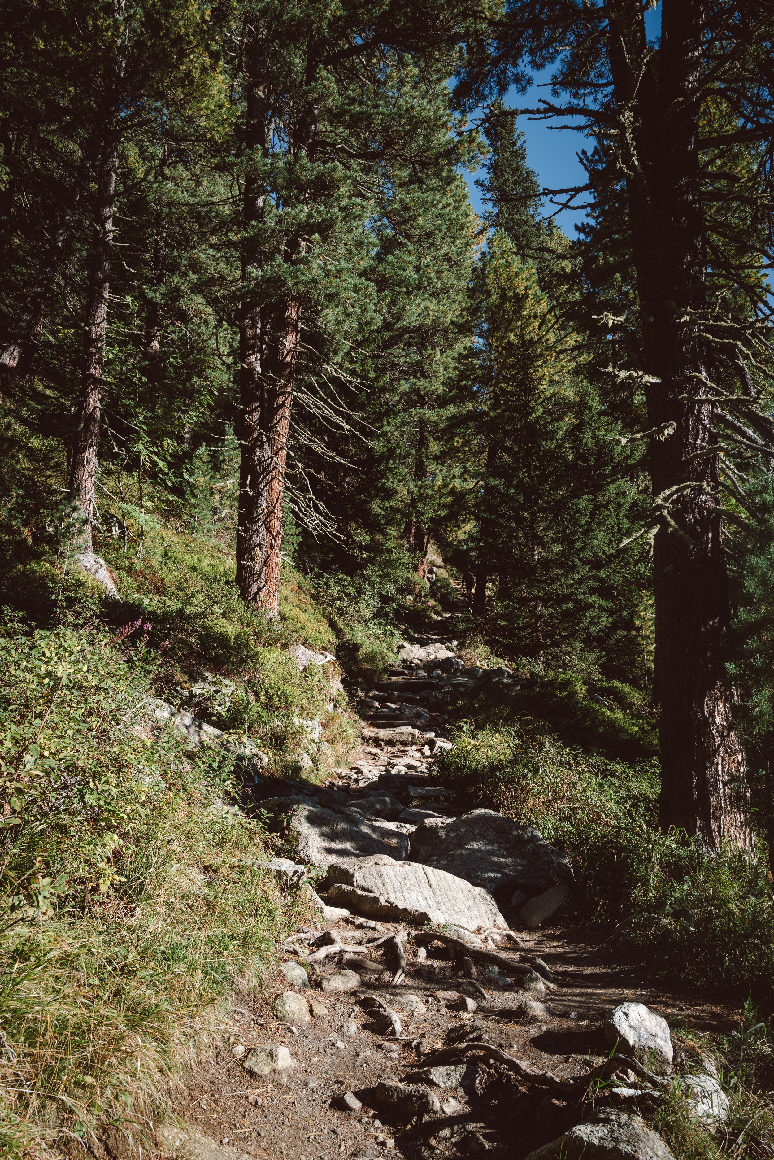 L1003338.jpg