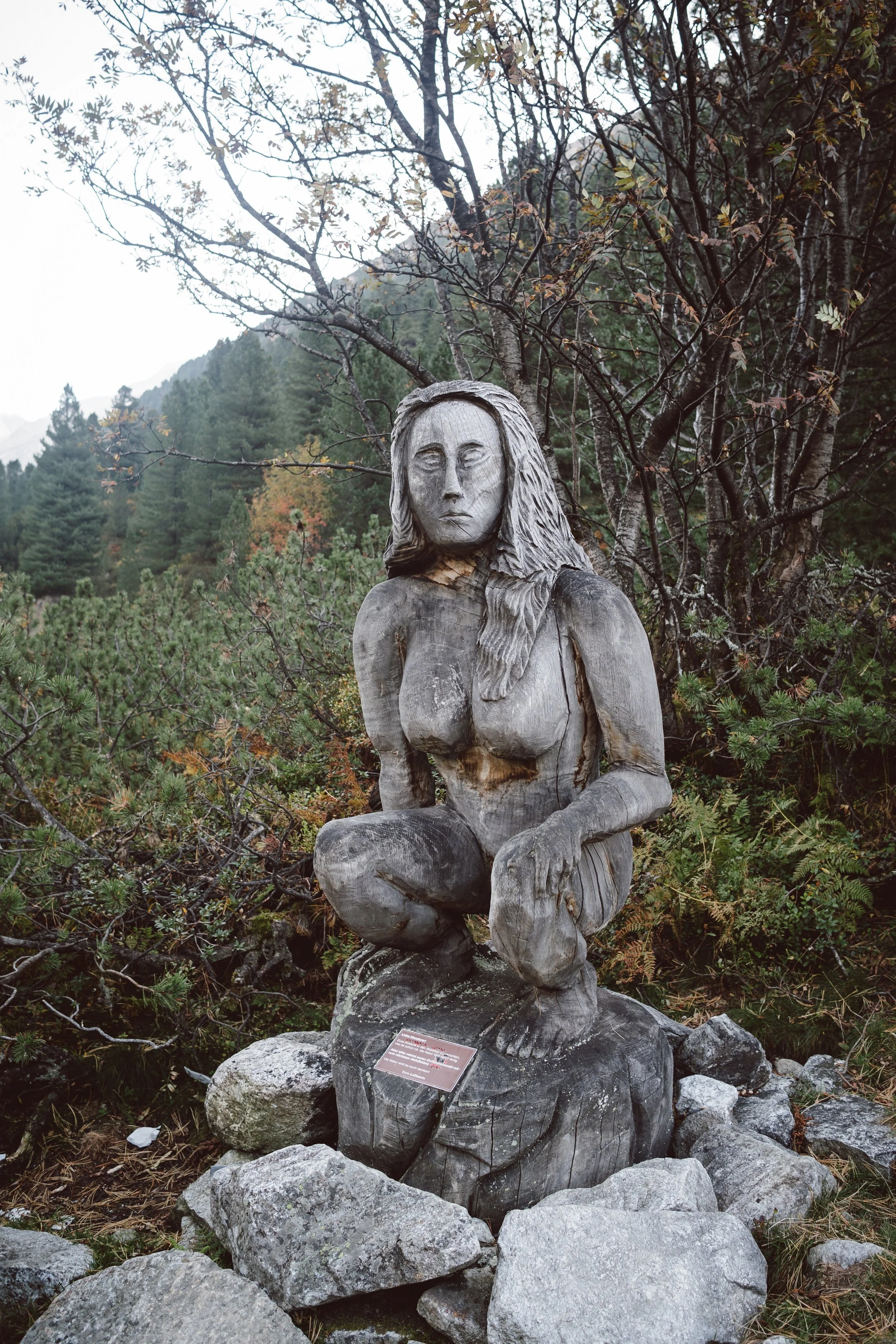 DSC01371.jpg