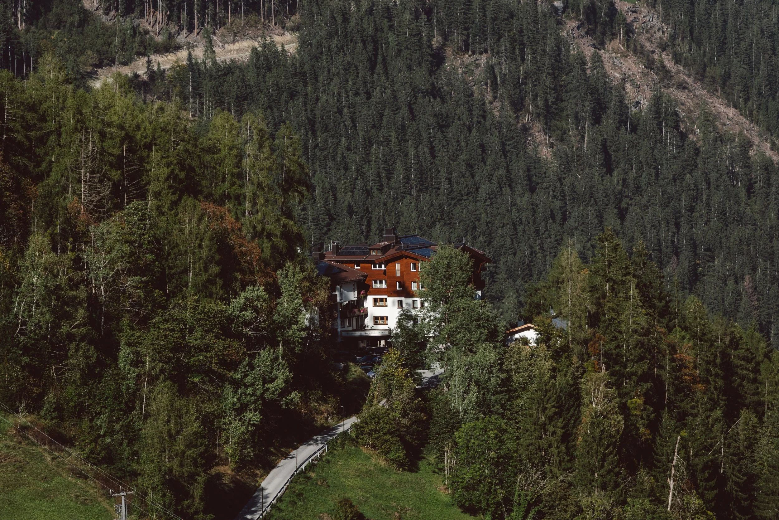 DSC00878.jpg