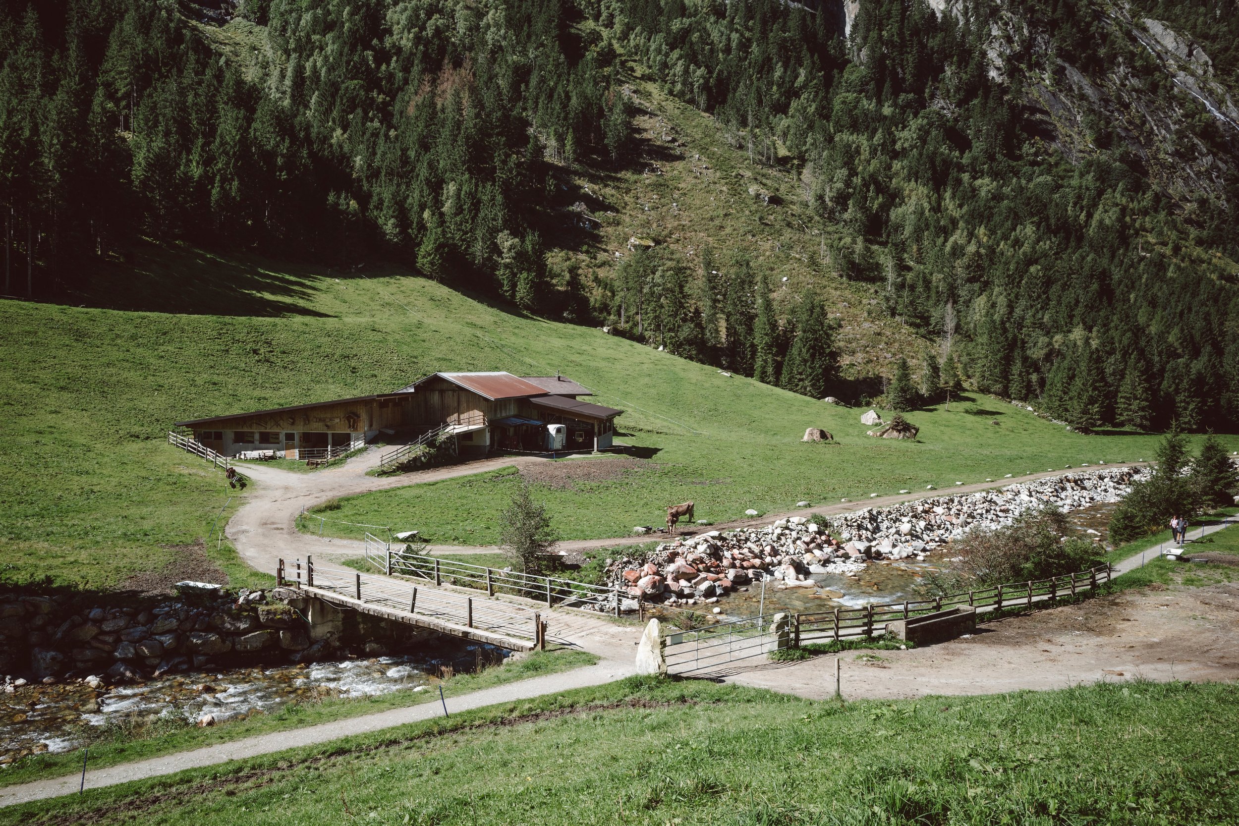 R0011062.jpg