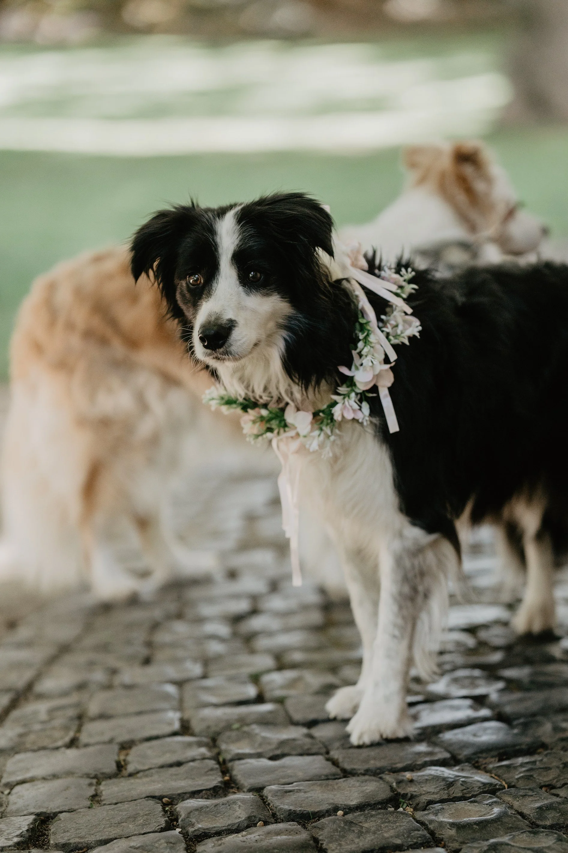Hochzeit 241.jpg