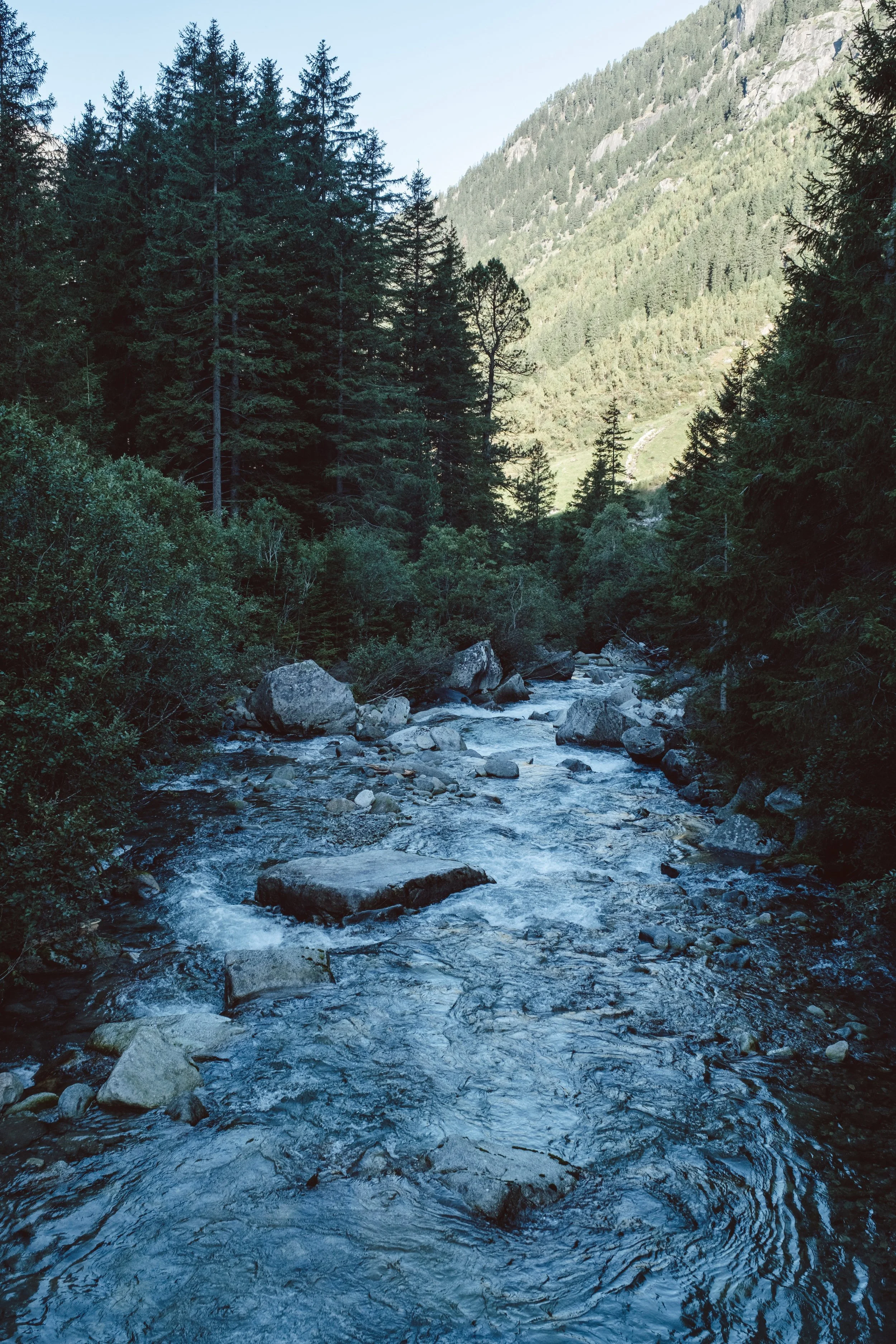 DSCF6852.jpg