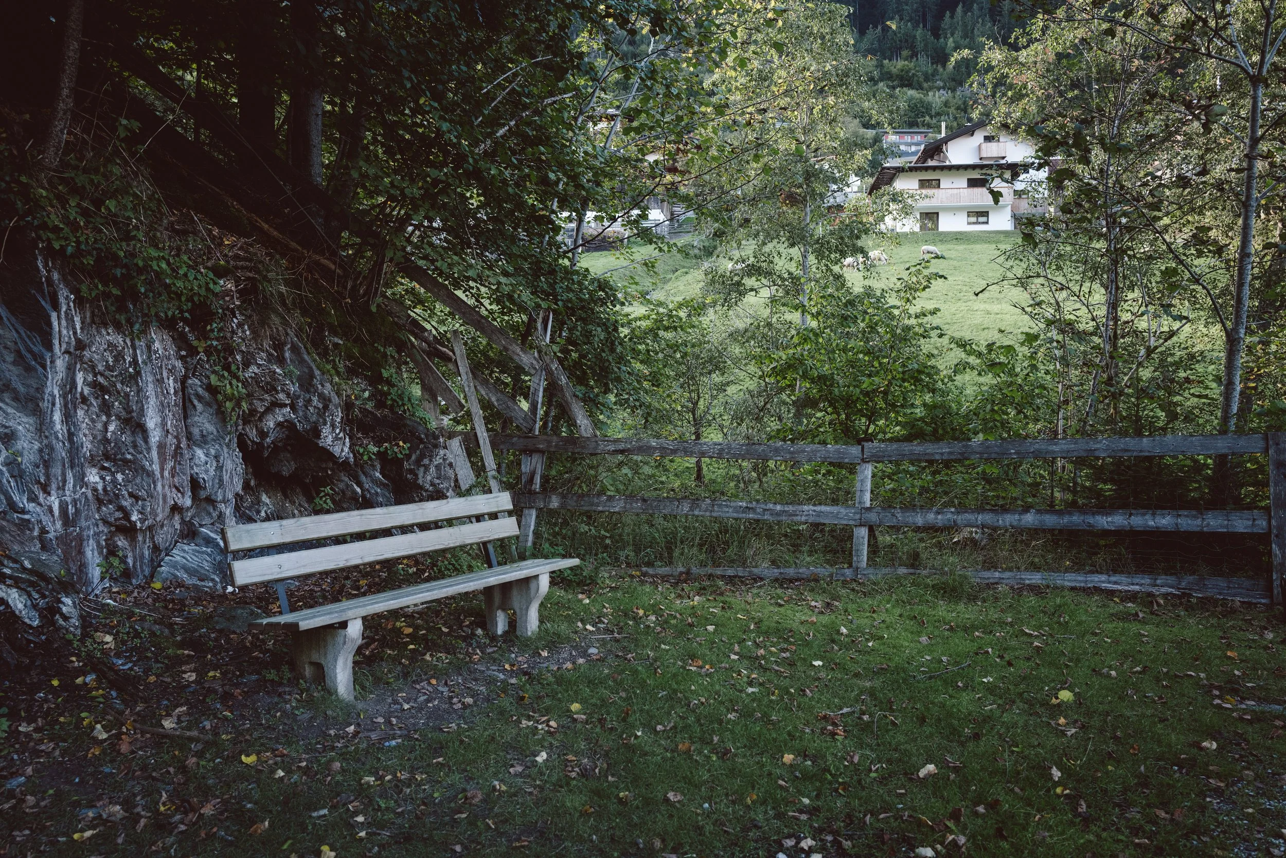 L1003256.jpg