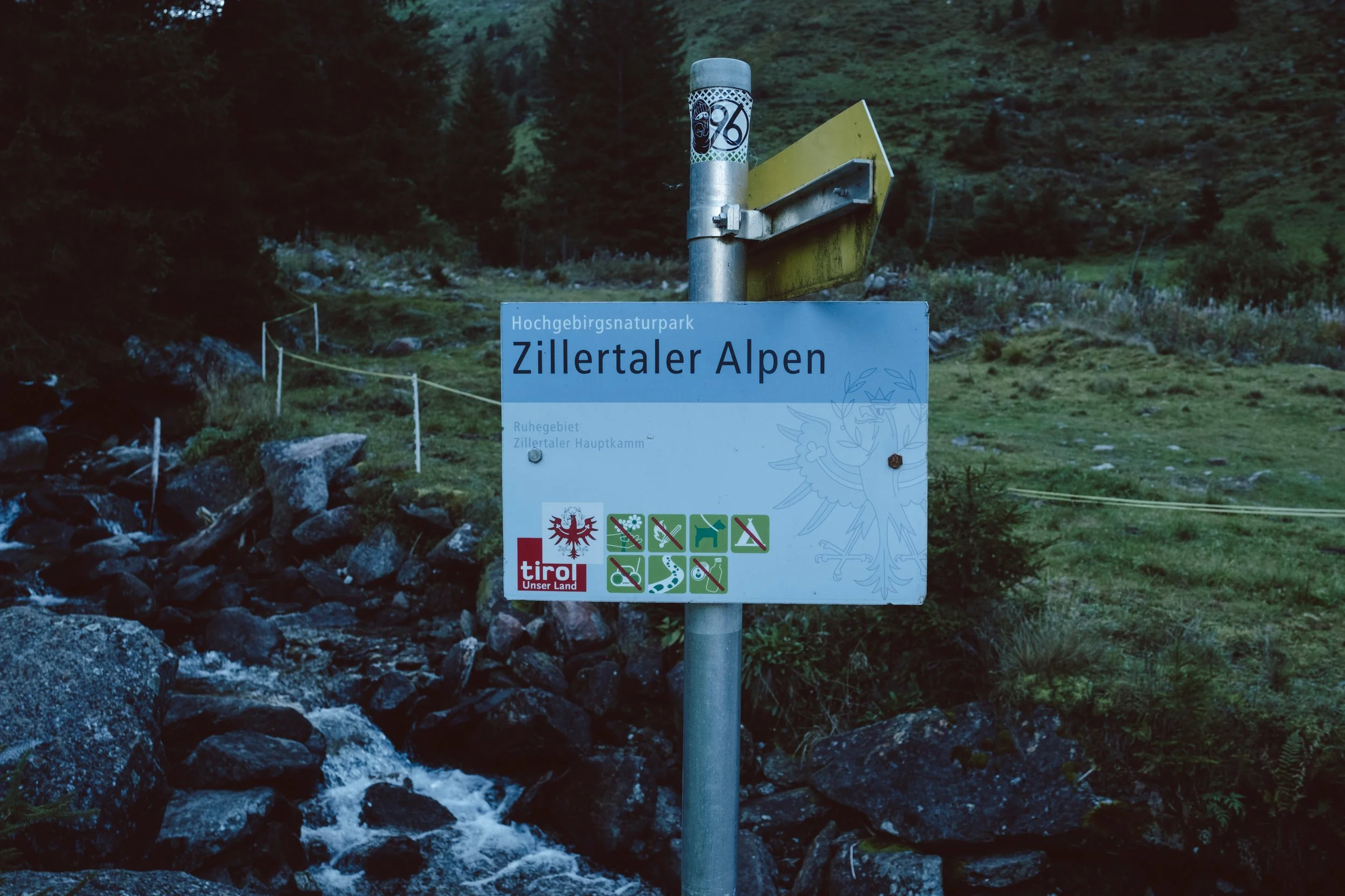 DSCF6895.jpg