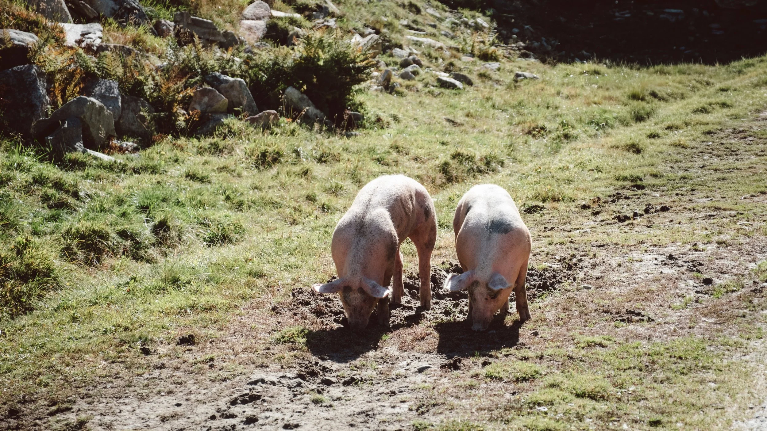 DSCF7173.jpg