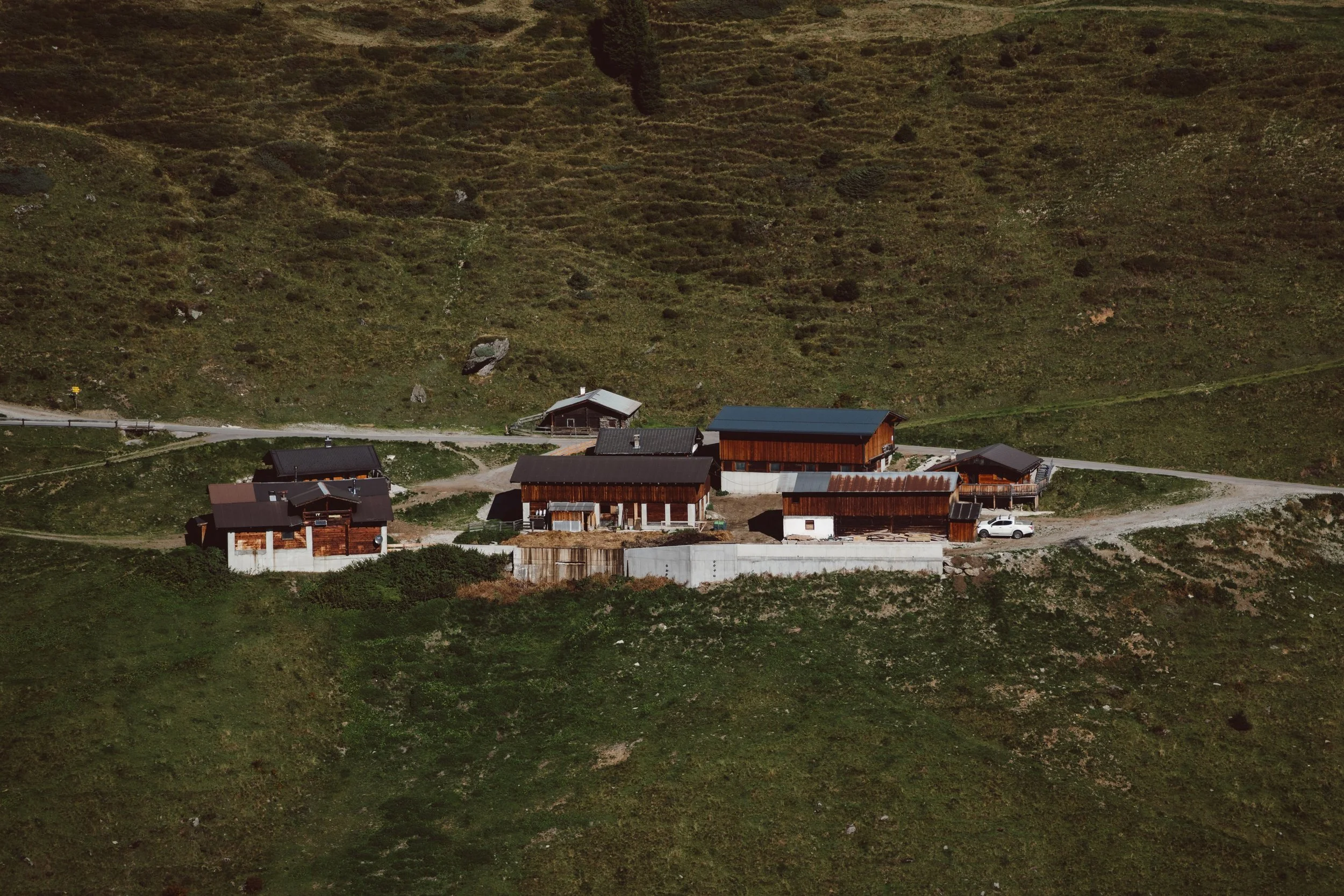 DSC01248.jpg