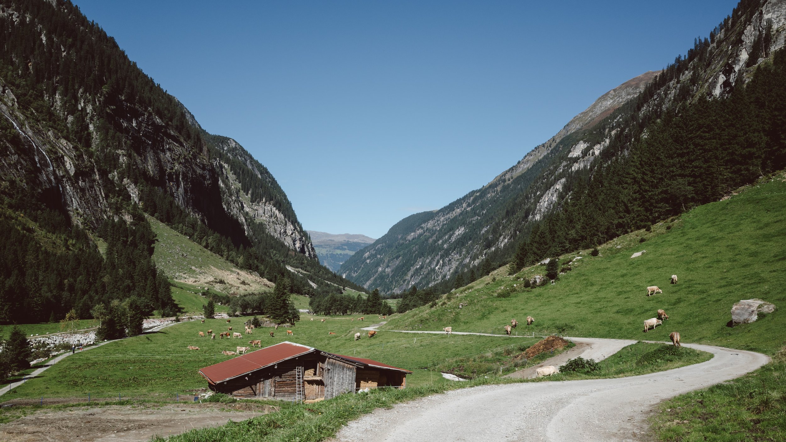 R0011065.jpg