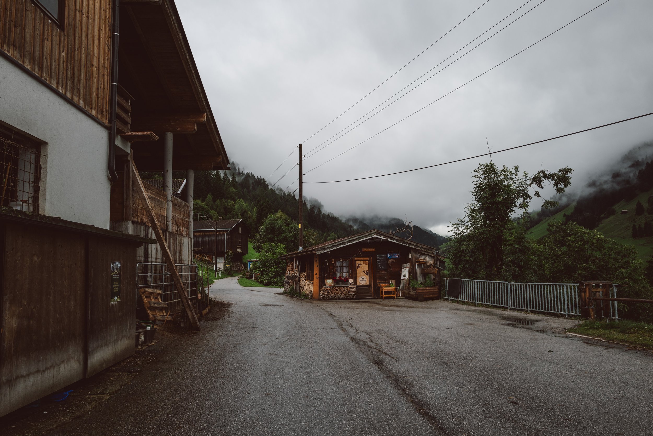 L1003455.jpg