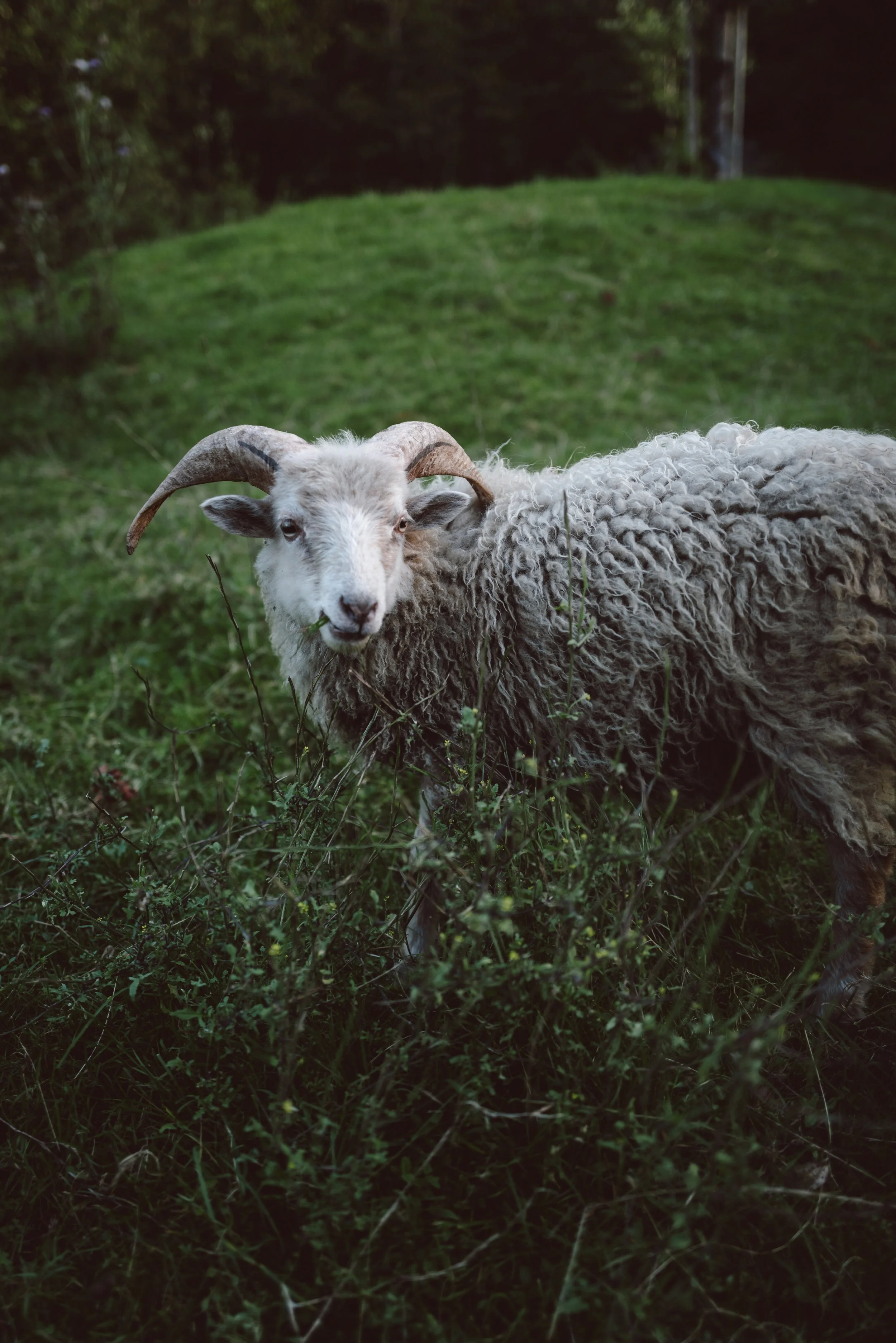 L1003231.jpg
