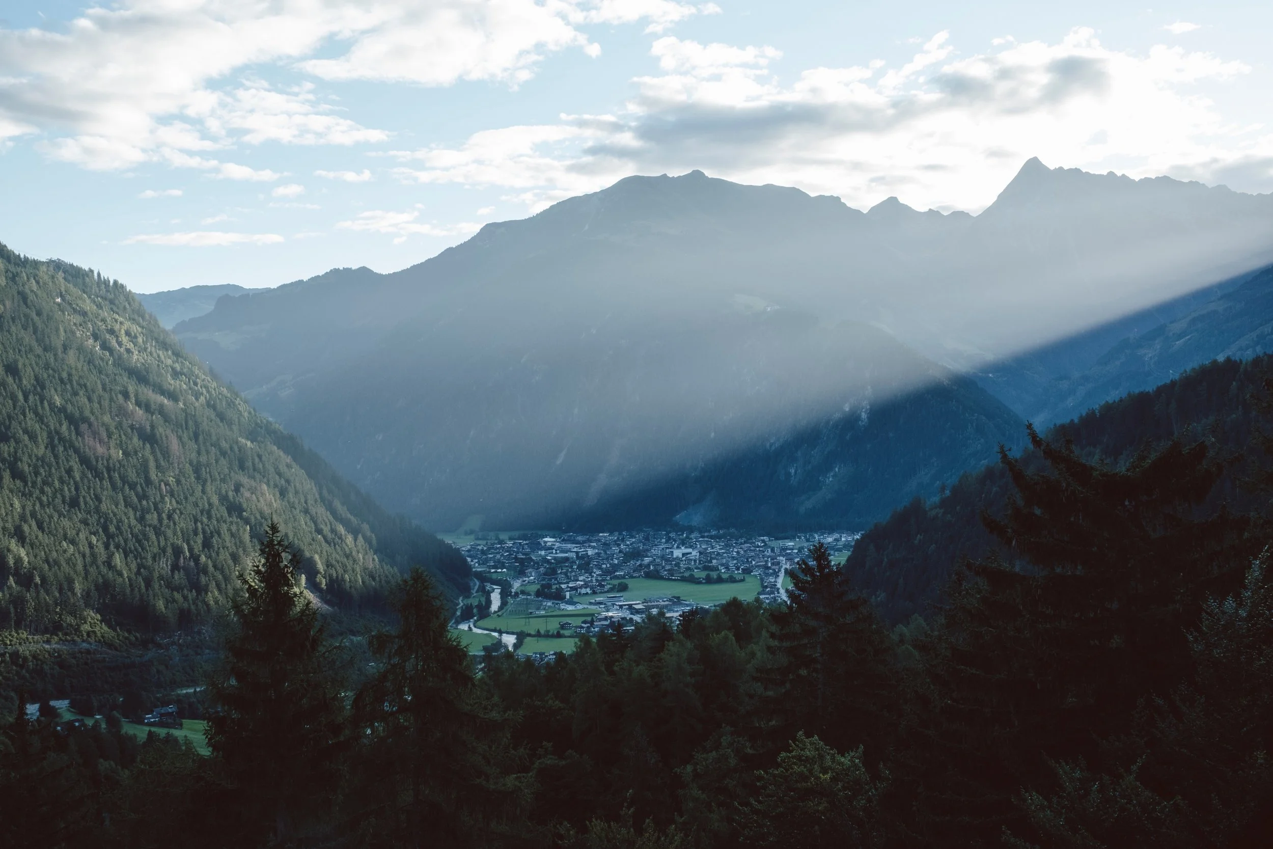 DSCF6785.jpg