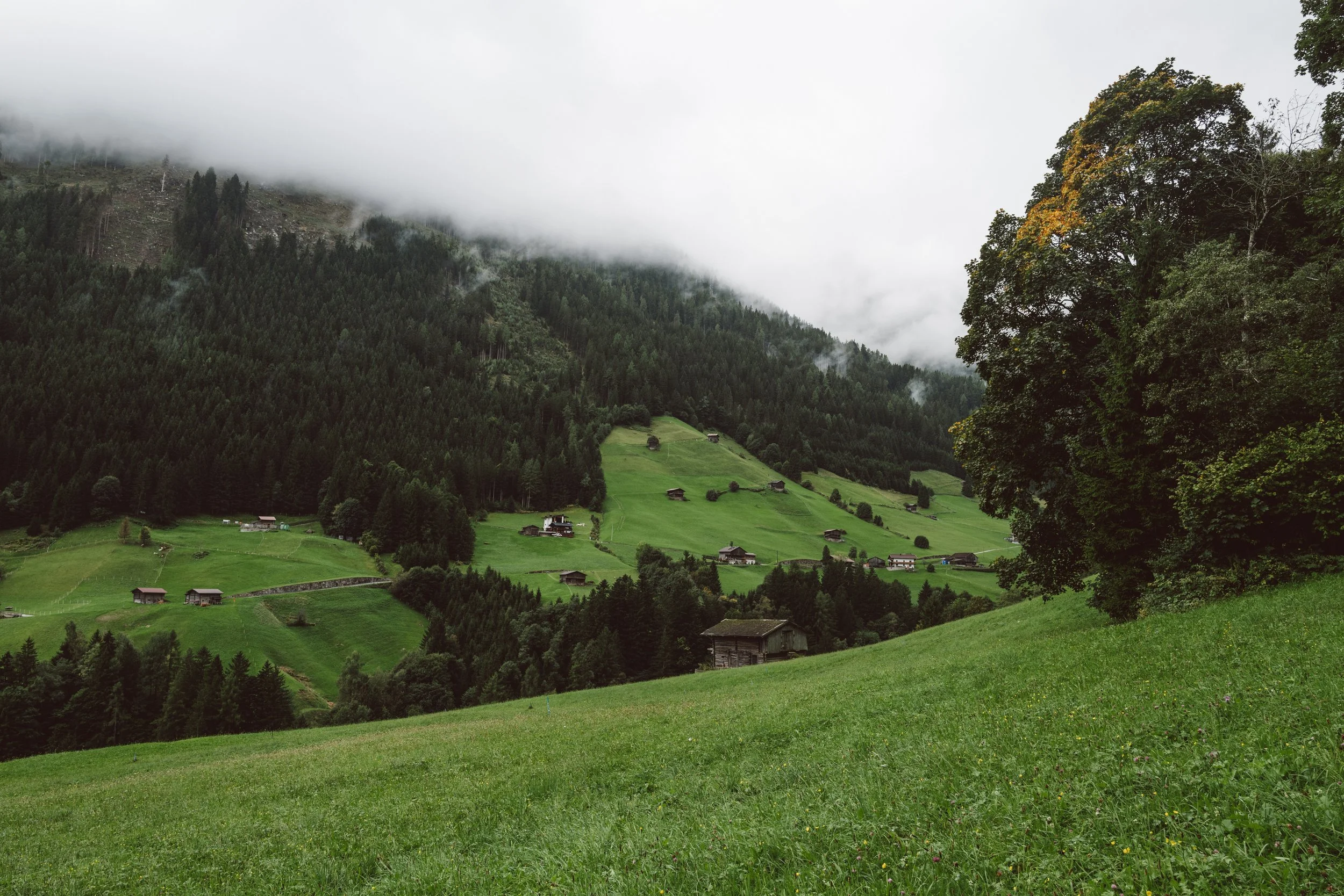 L1003503.jpg