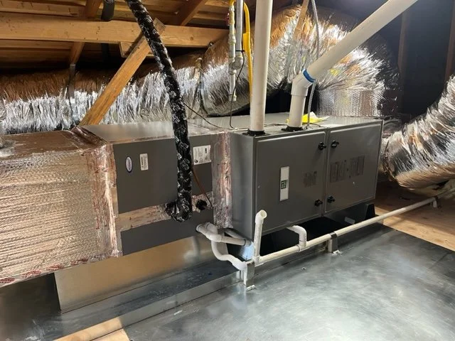 748874615-img_0691.jpg