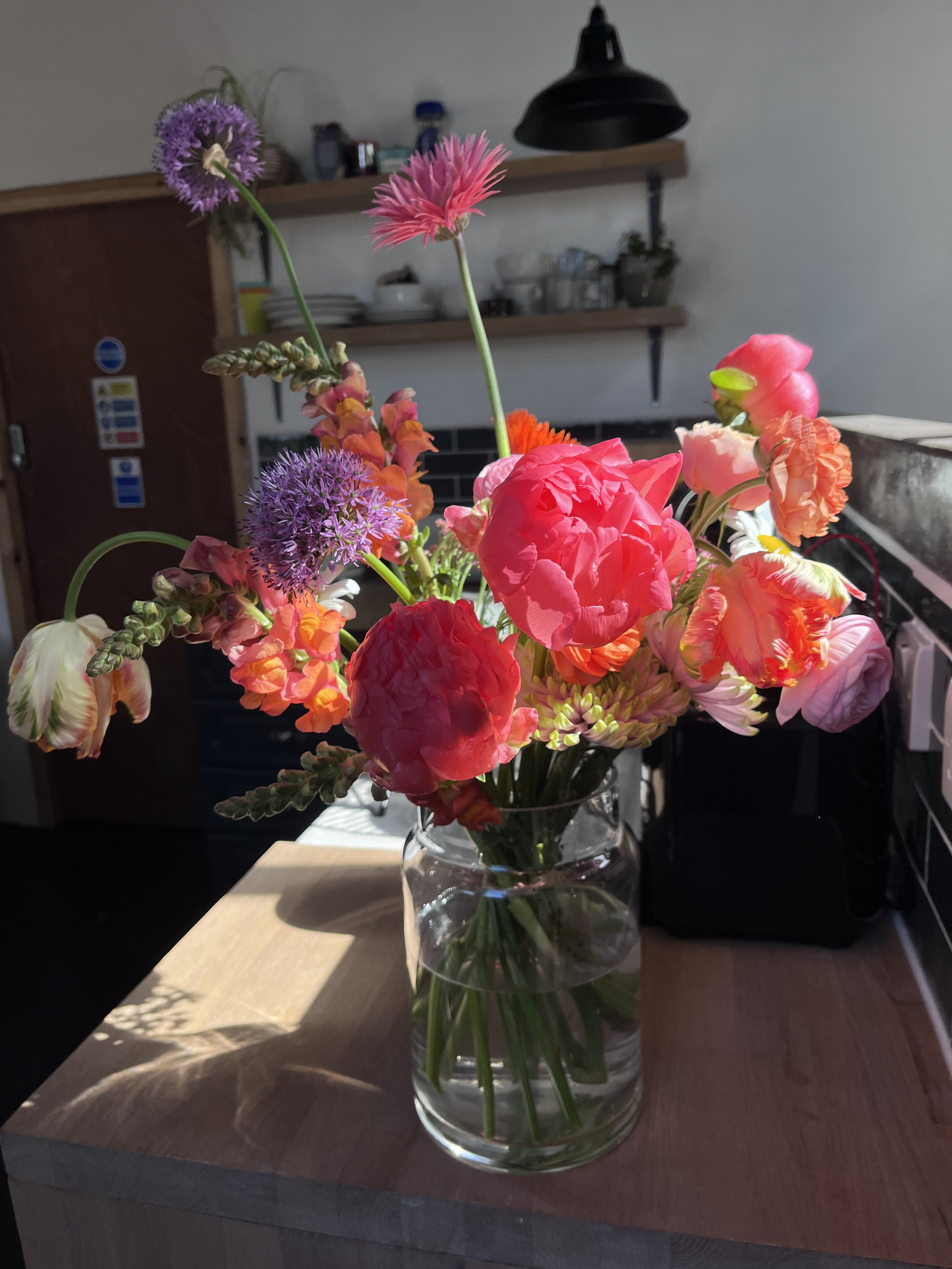 IMG_5850.jpeg