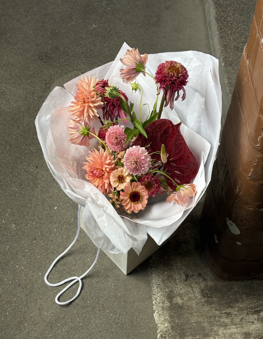 Screenshot 2026-01-14 at 14.16.16.png