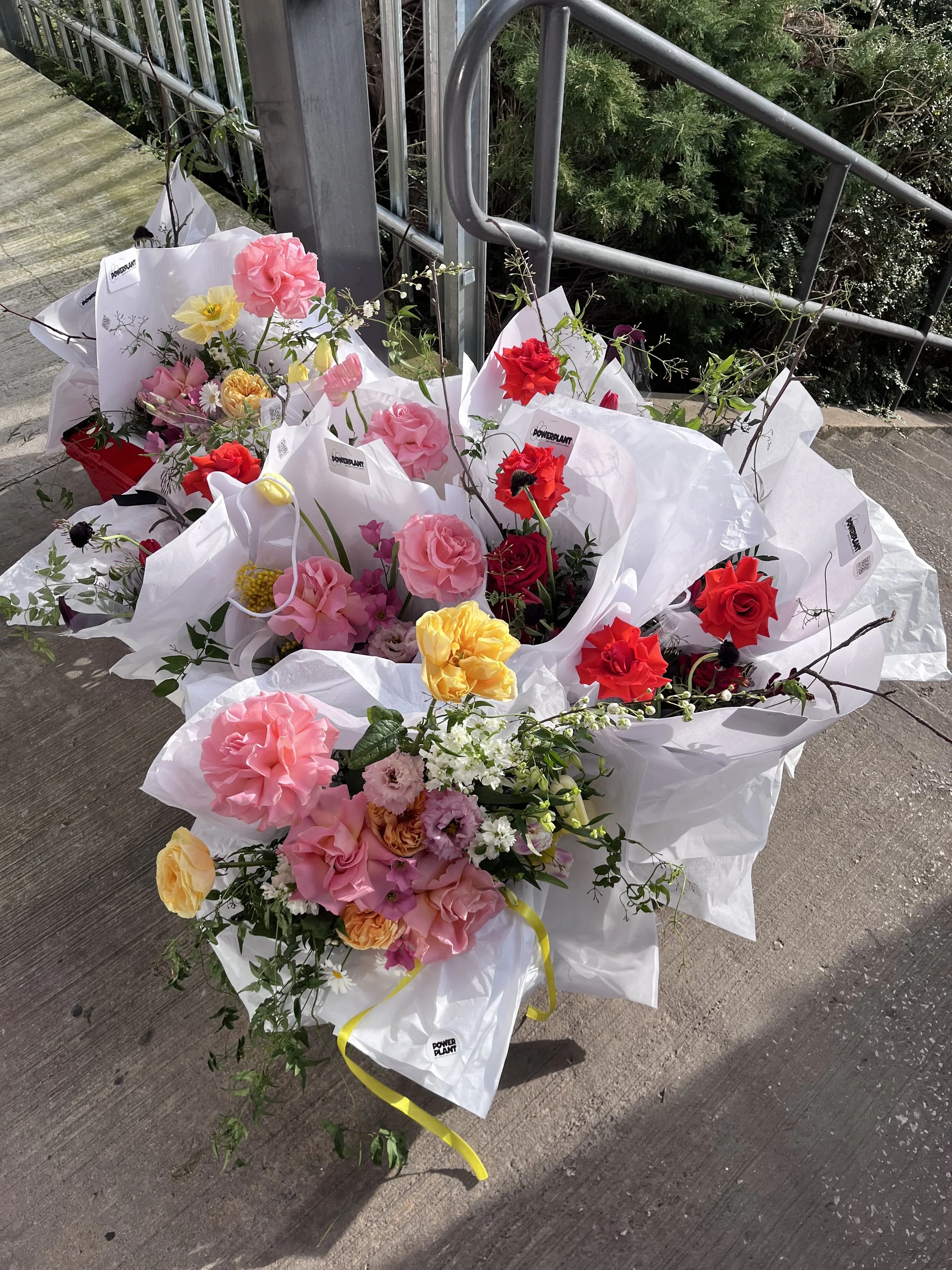 Bouquet of pink, yellow, and red roses with greenery, wrapped in white paper, placed on concrete near a metal handrail and stairs.