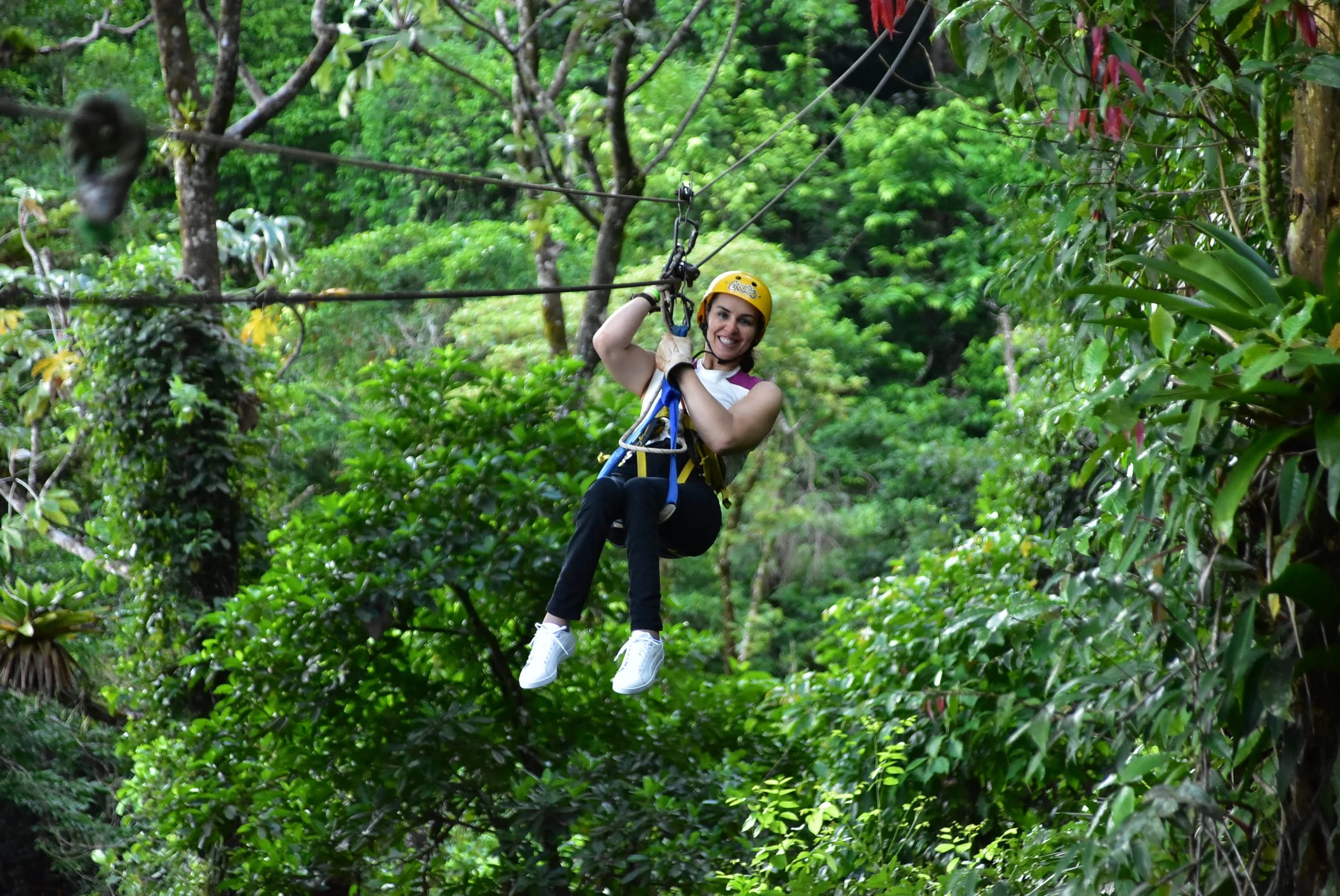 Zipline 3.JPG